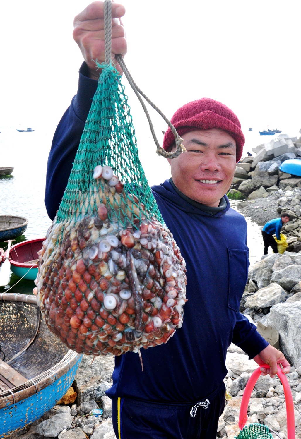 Lan bat oc cu o dao Ly Son anh 11