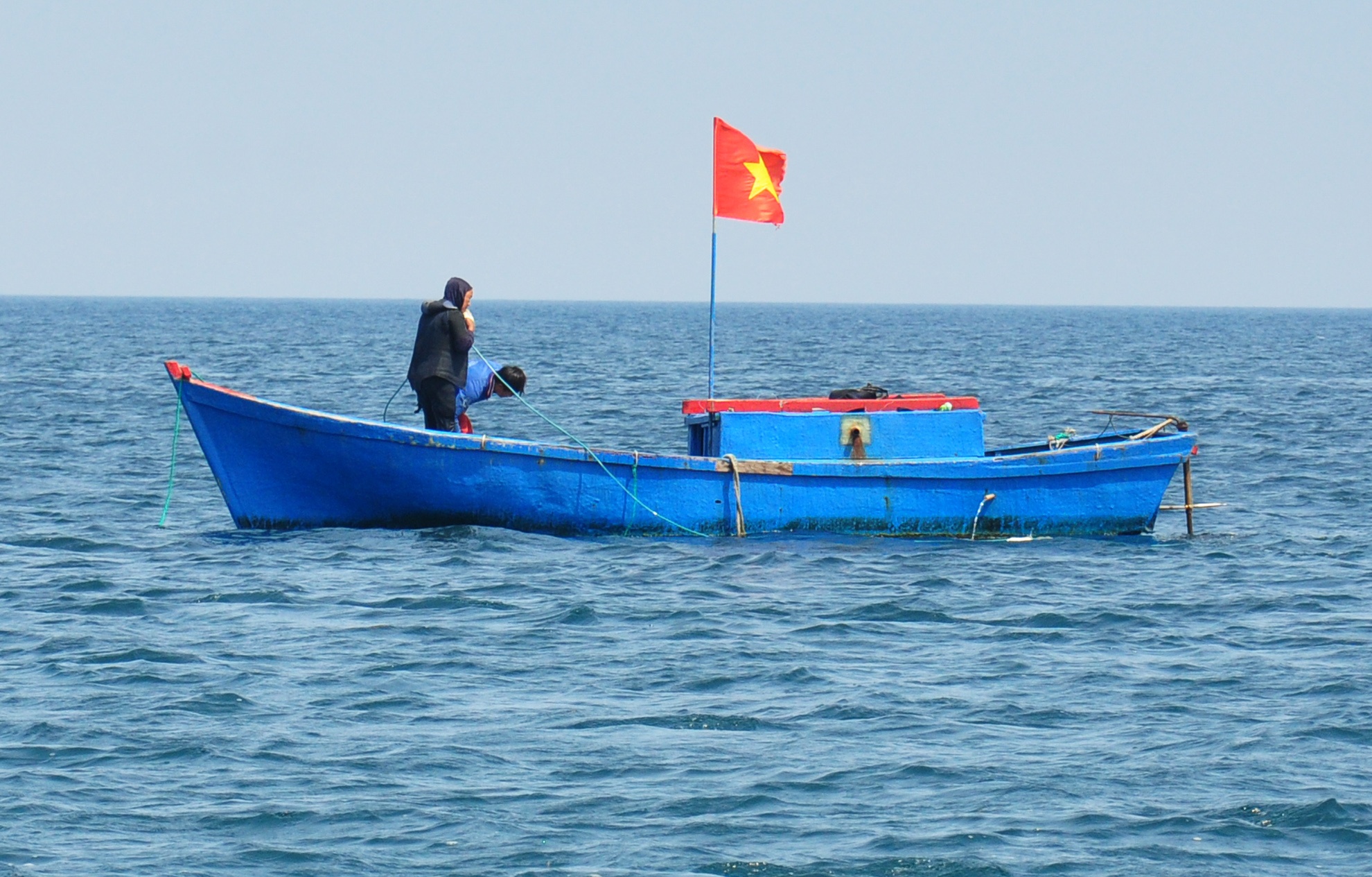 Lan bat oc cu o dao Ly Son anh 1