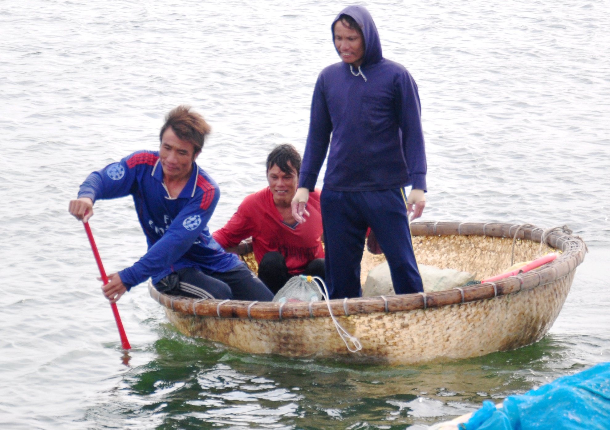 Lan bat oc cu o dao Ly Son anh 3