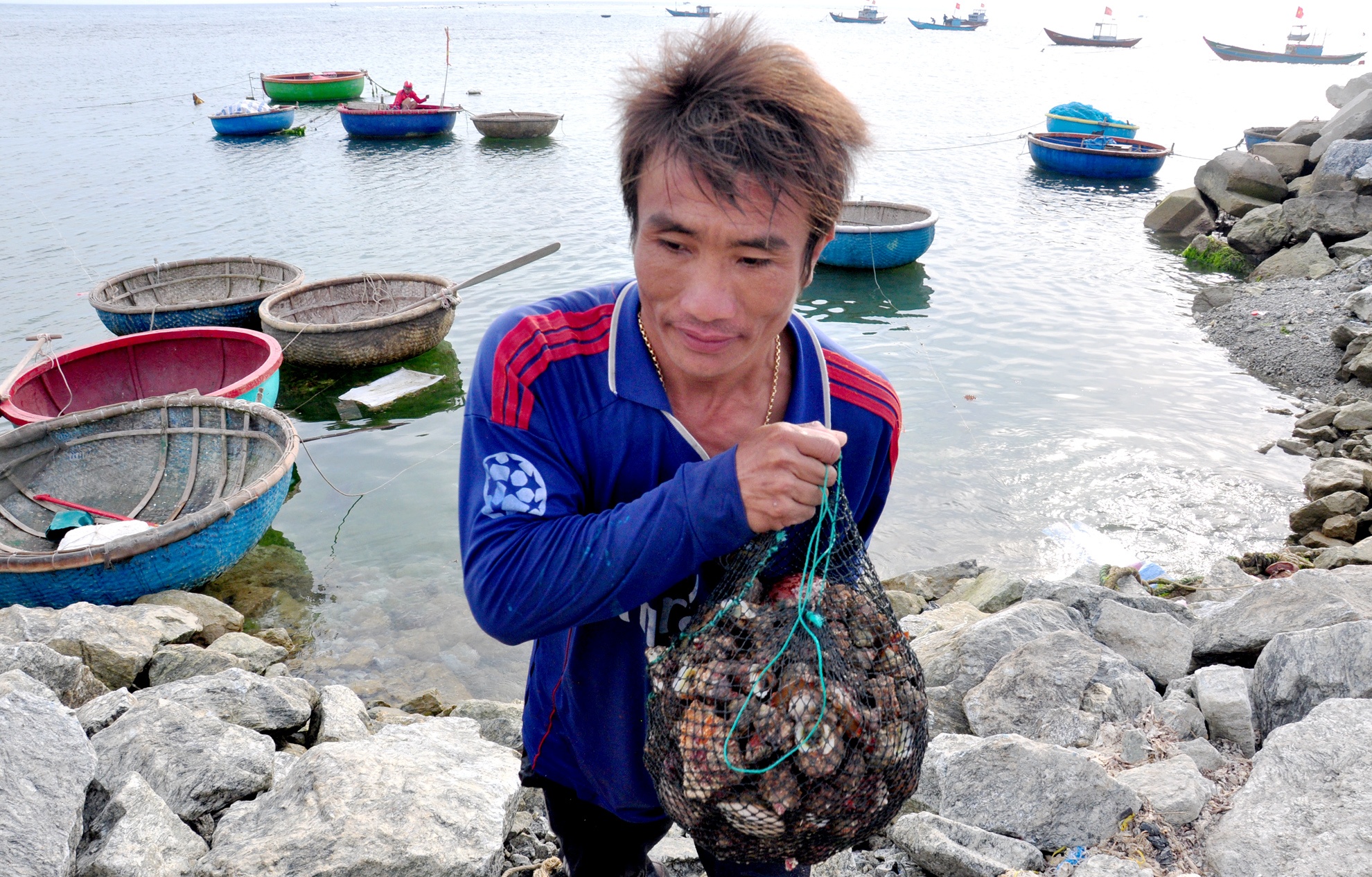 Lan bat oc cu duoi day bien Ly Son kiem bac trieu moi ngay hinh anh