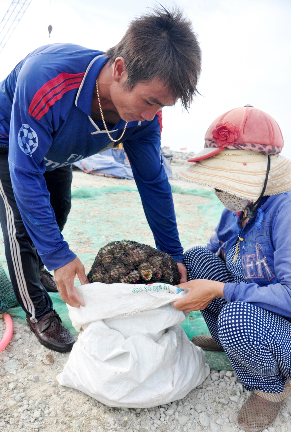 Lan bat oc cu o dao Ly Son anh 6