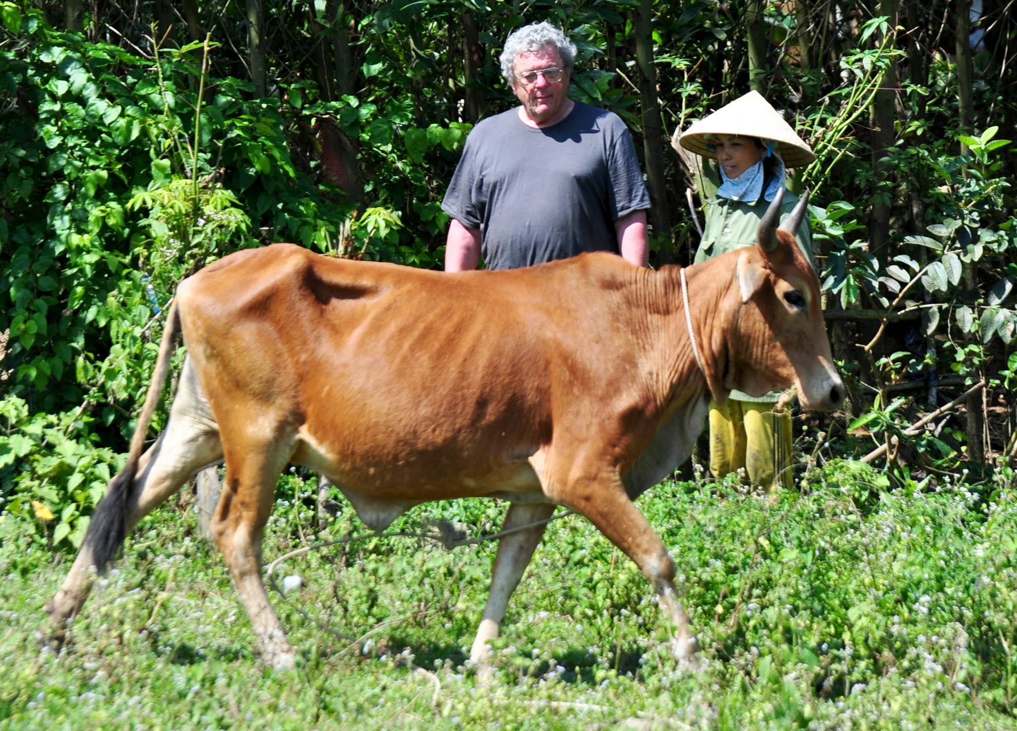 Cuu binh My gieo hat giong hoa binh anh 9