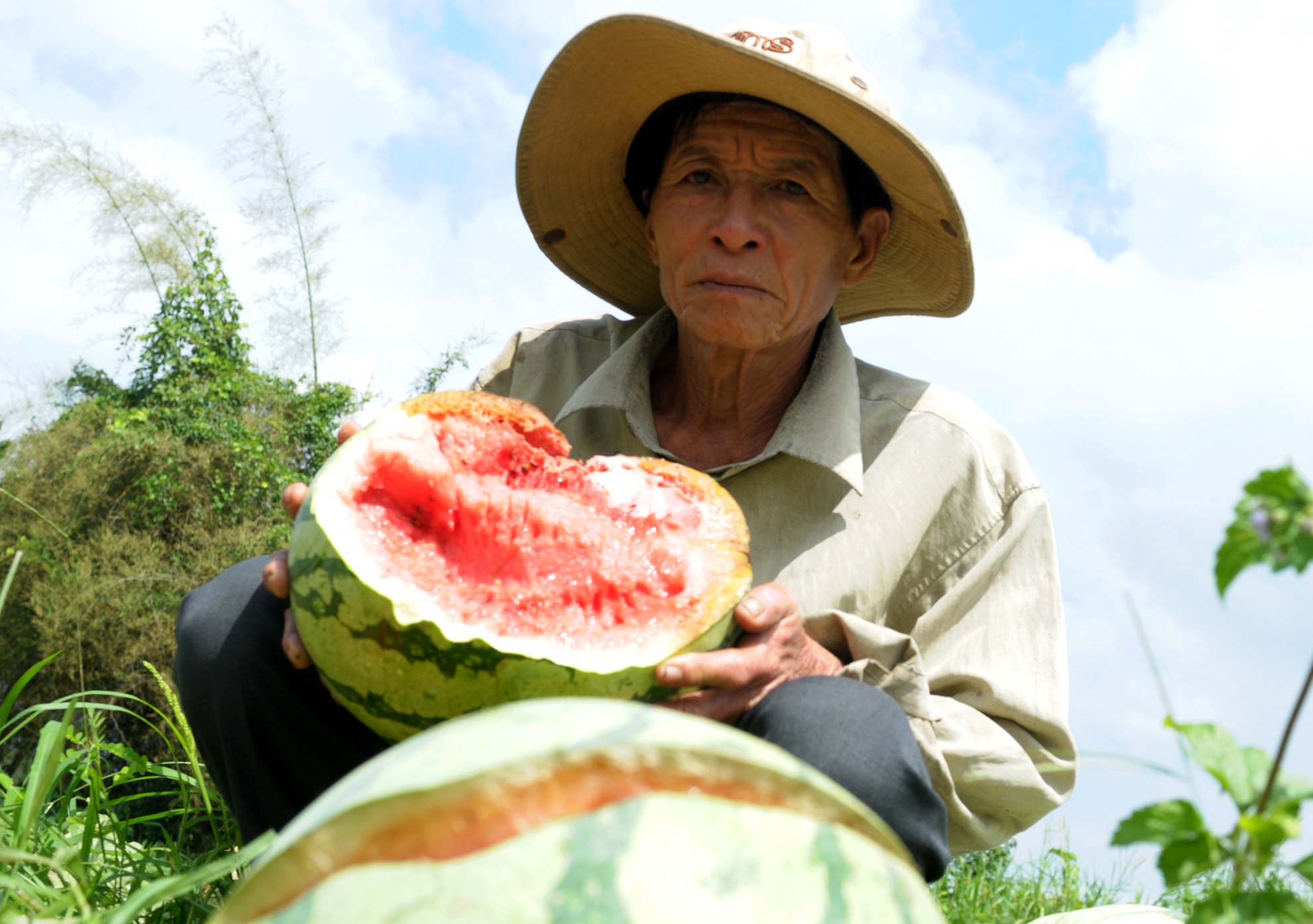 Dua hau con 1.000 dong/kg, huyen lap duong day nong giai cuu hinh anh