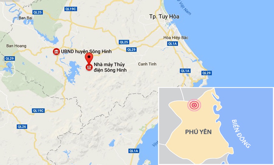 Phú Yên phá rừng nuôi bò ảnh 2 Phu Yen pha rung nuoi bo anh 2