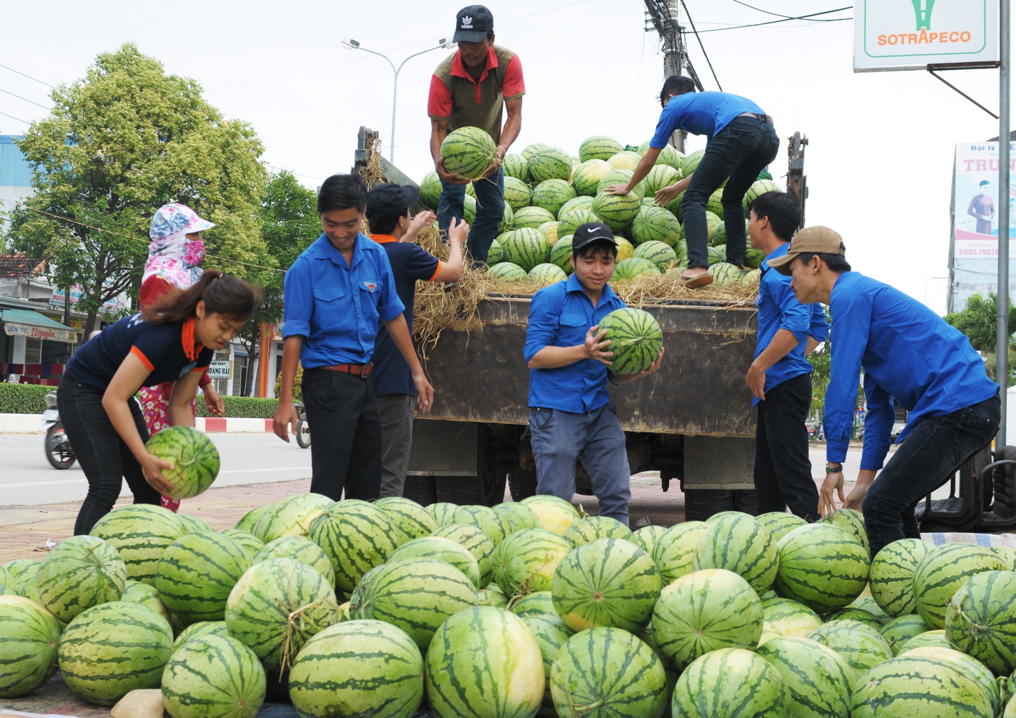 Nguoi tre Quang Ngai 'giai cuu' dua hau giup nong dan hinh anh