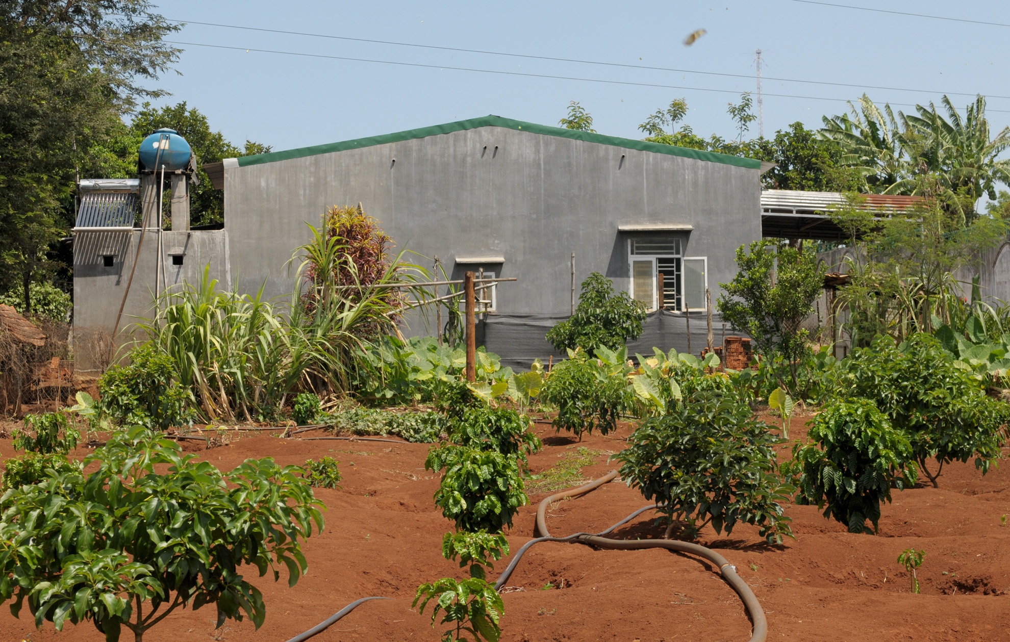 Biet thu trai phep o Dak Lak anh 6