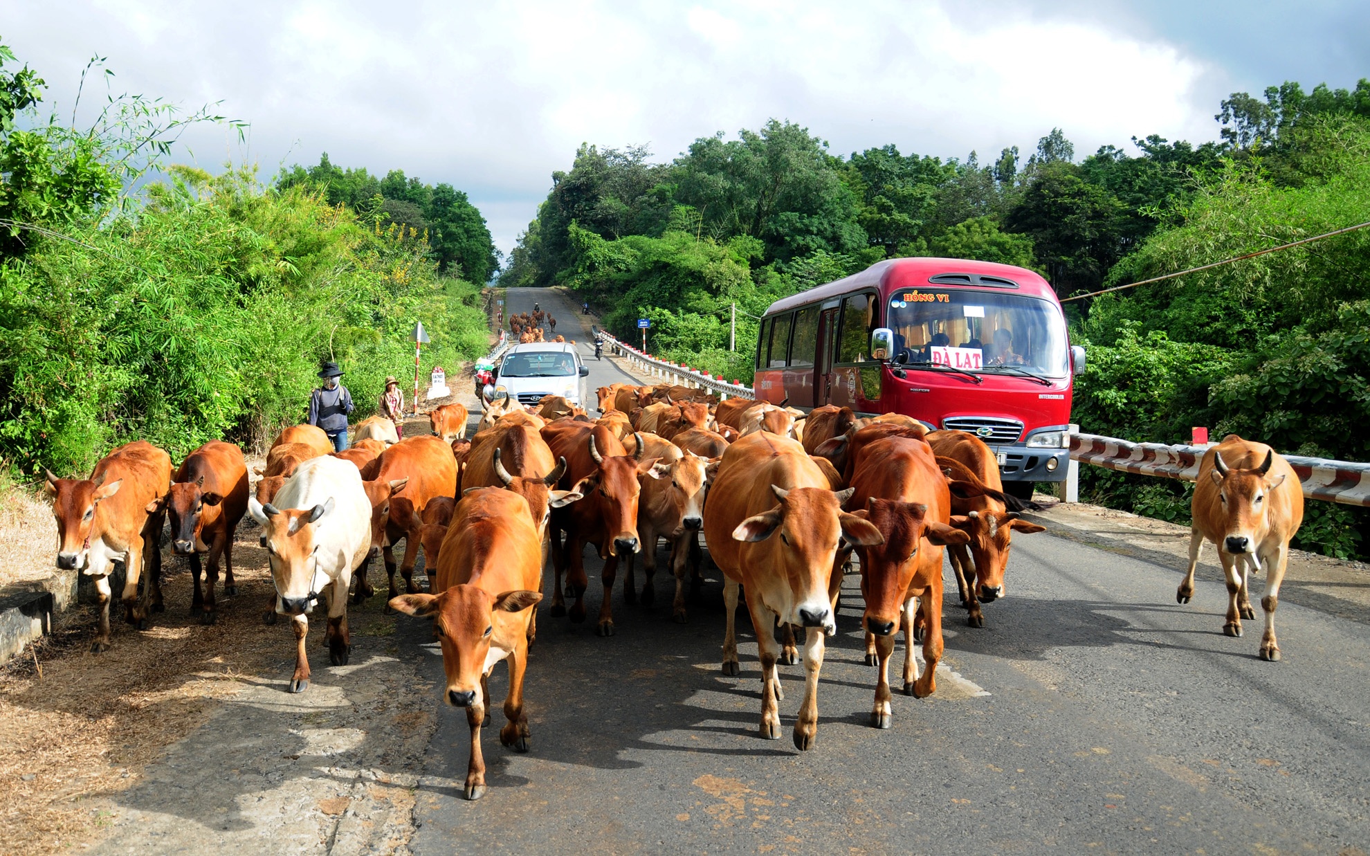 Canh sat vat va voi bo tren quoc lo 27 anh 2
