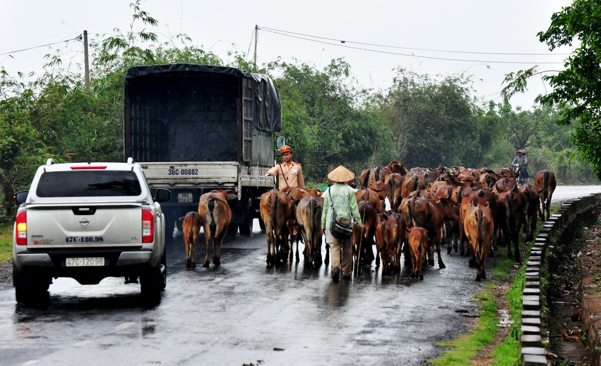 Canh sat vat va voi bo tren quoc lo 27 anh 6