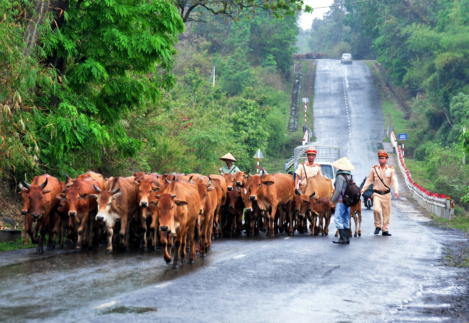 Canh sat vat va voi bo tren quoc lo 27 anh 3