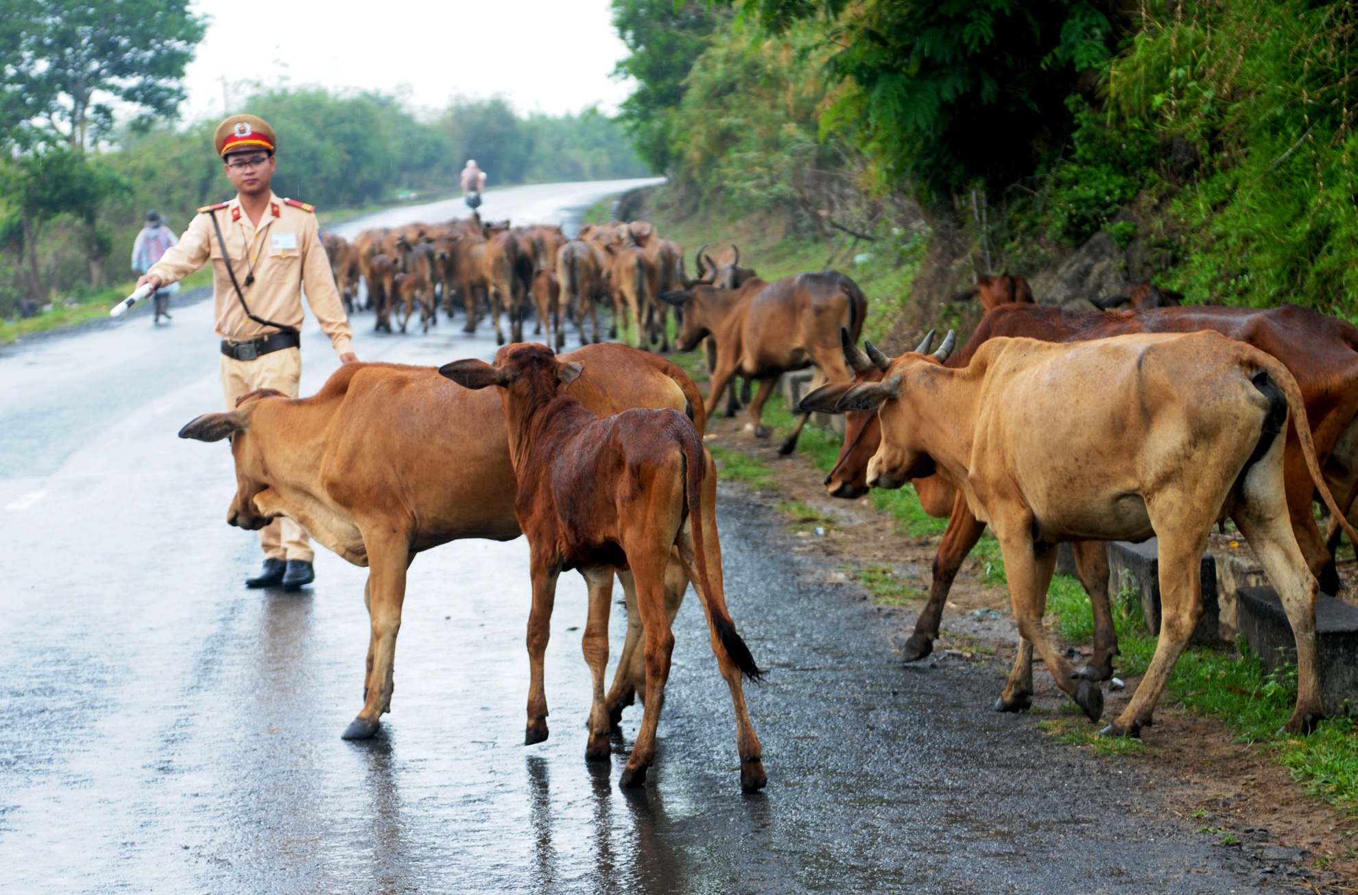 Canh sat vat va voi bo tren quoc lo 27 anh 7