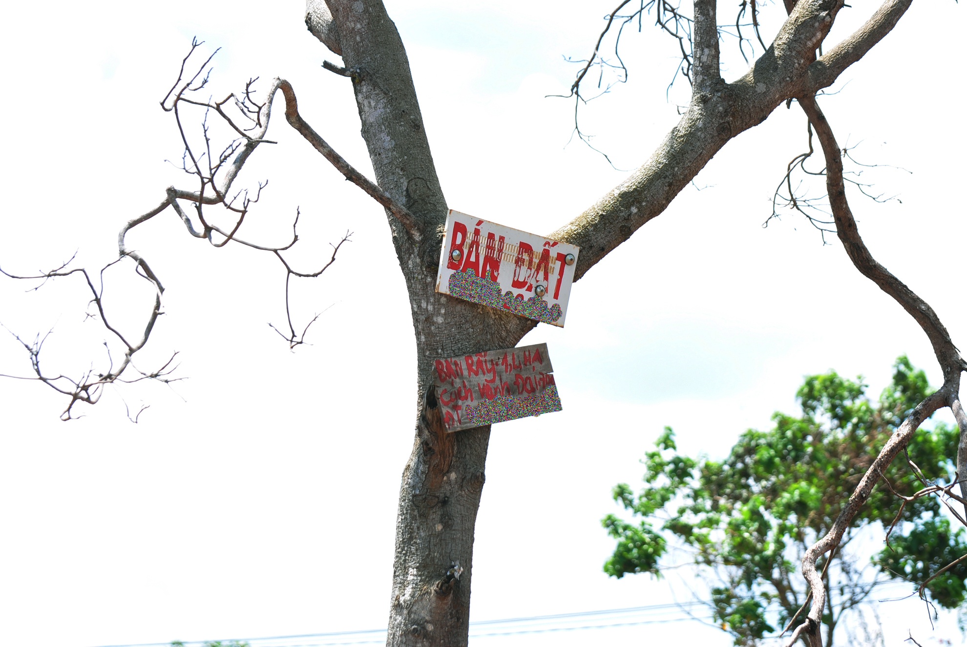 Pho ban Noi chinh Dak Lak anh 7