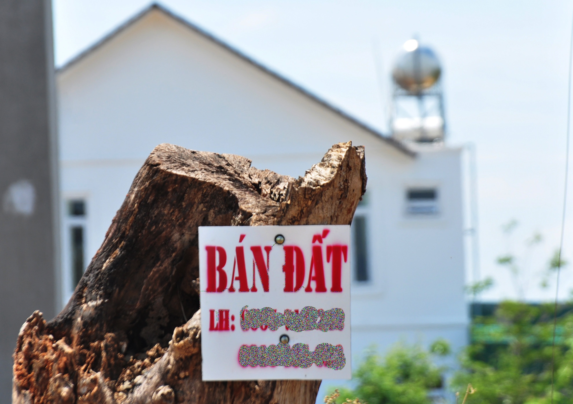 Pho ban Noi chinh Dak Lak anh 9