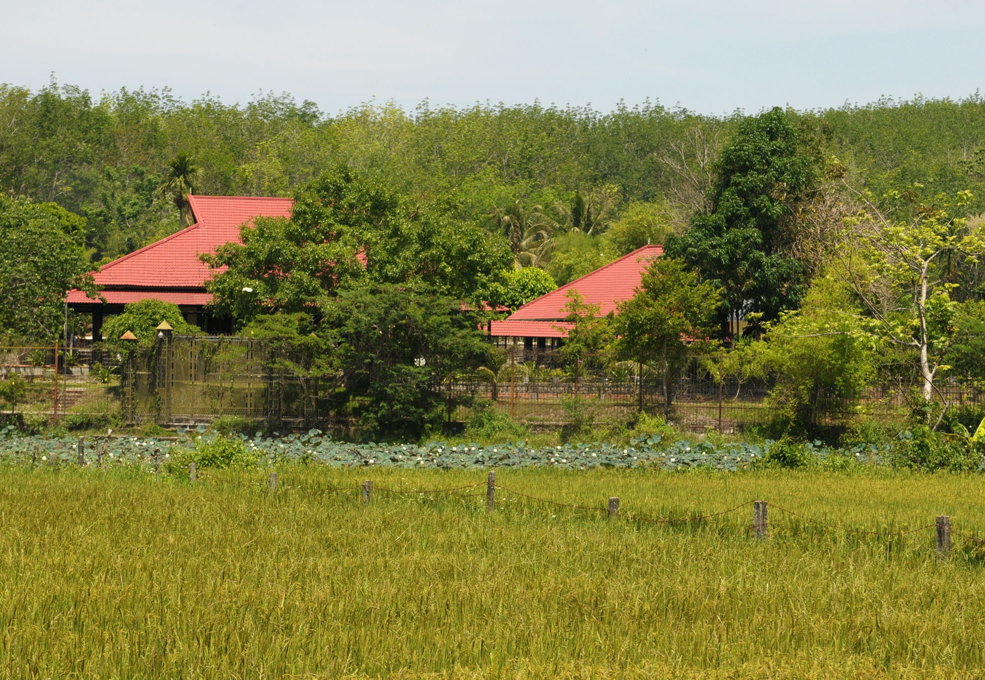 Biệt phủ xây trên đất nông nghiệp ảnh 2 Biet phu xay tren dat nong nghiep anh 2