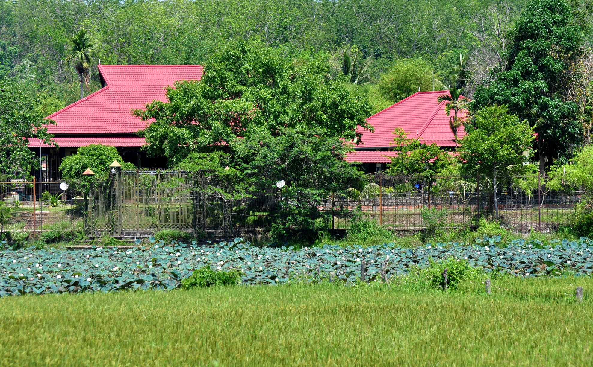 Nguoi dan yeu cau do biet phu cua Uy vien Thuong vu Tinh uy Kon Tum hinh anh