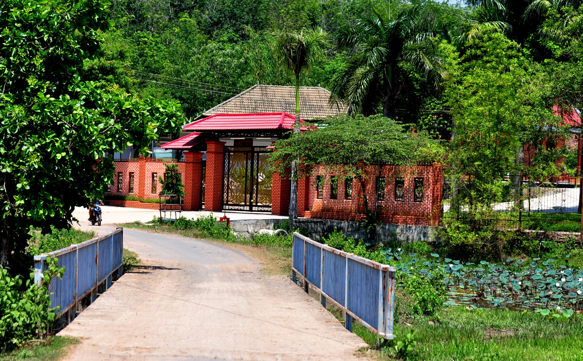 Uy vien thuong vu Tinh uy Kon Tum noi ve khoi tai san giua rung hinh anh