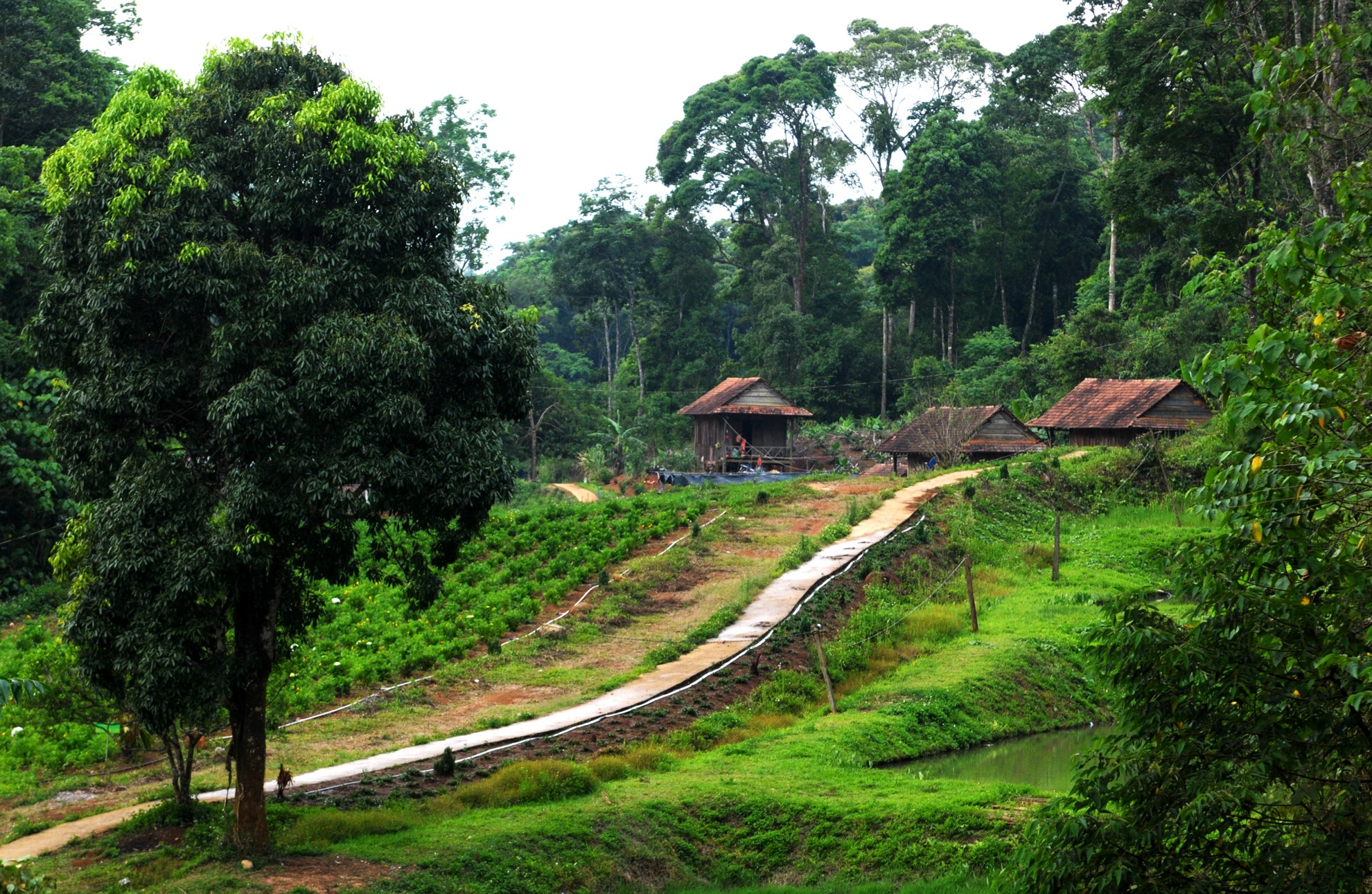 Du lich sinh thai Mang Den anh 10