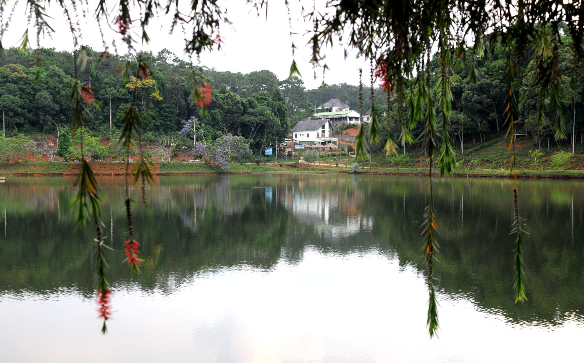 Du lich sinh thai Mang Den anh 6