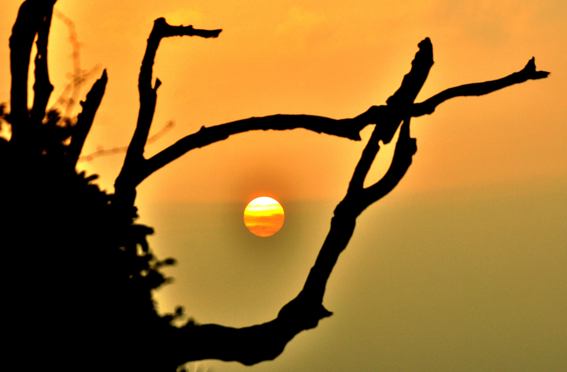 Kham pha 'thien duong' nghi duong Mang Den hinh anh