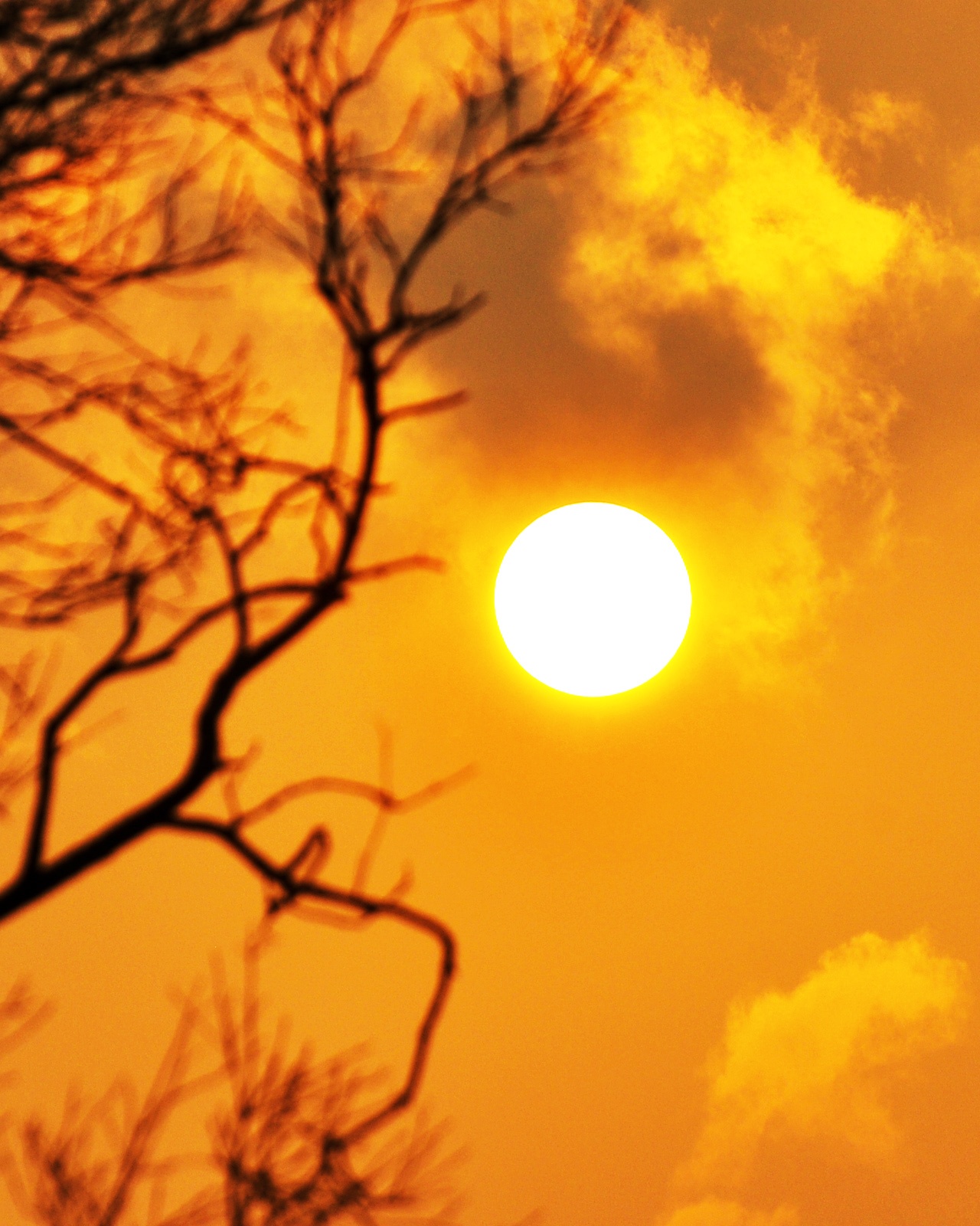 Du lich sinh thai Mang Den anh 8