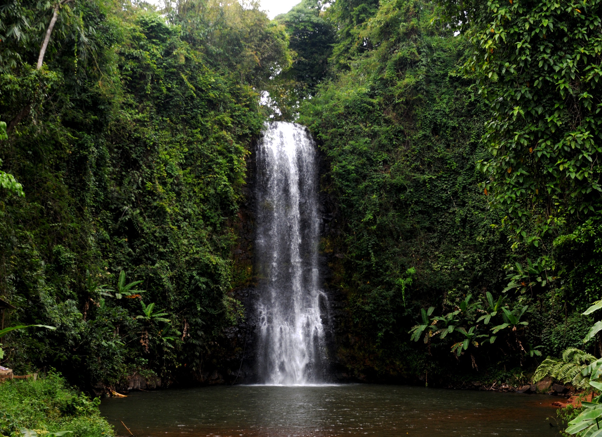 Du lich sinh thai Mang Den anh 9