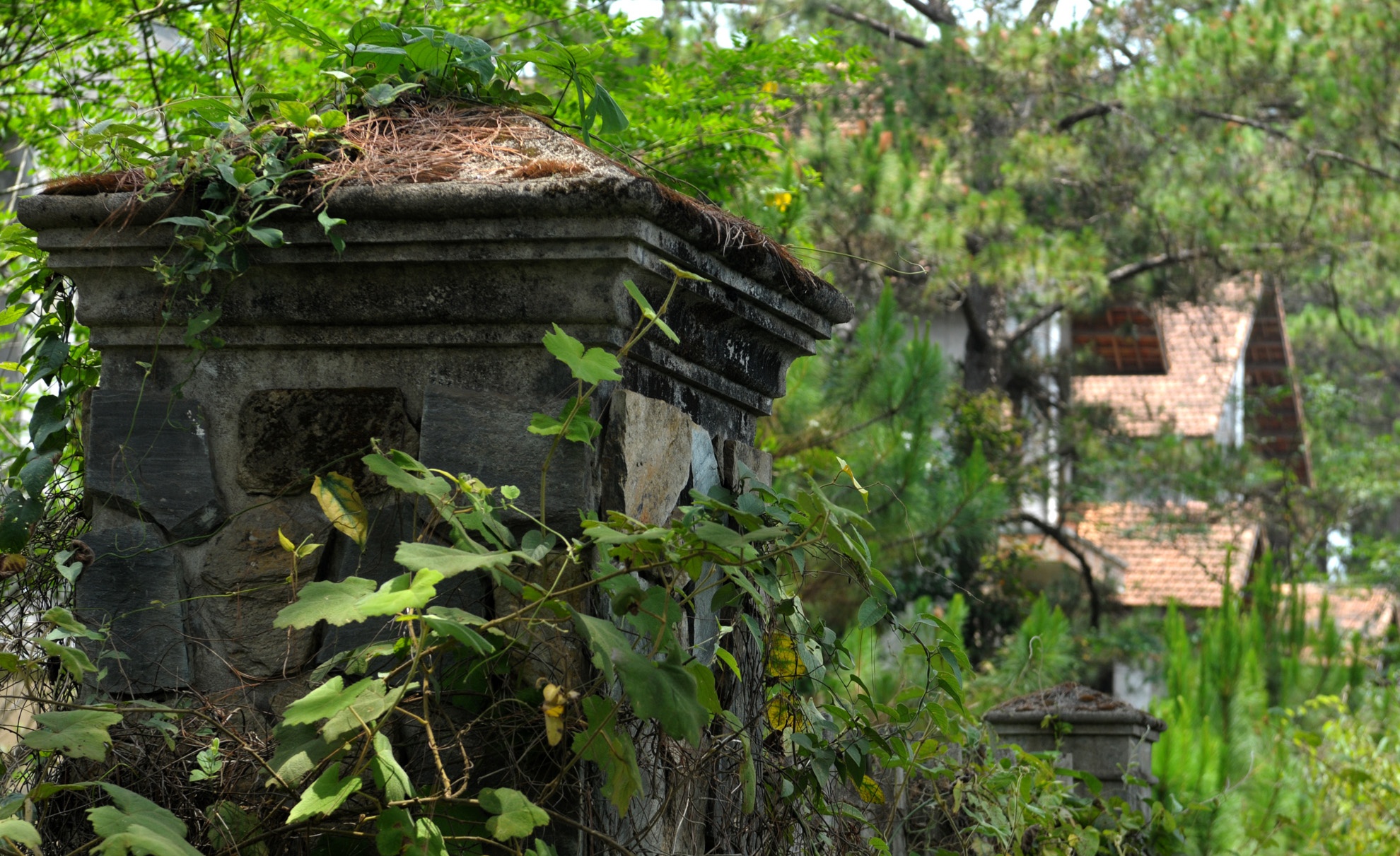 Biet thu bo hoang o Mang Den anh 4