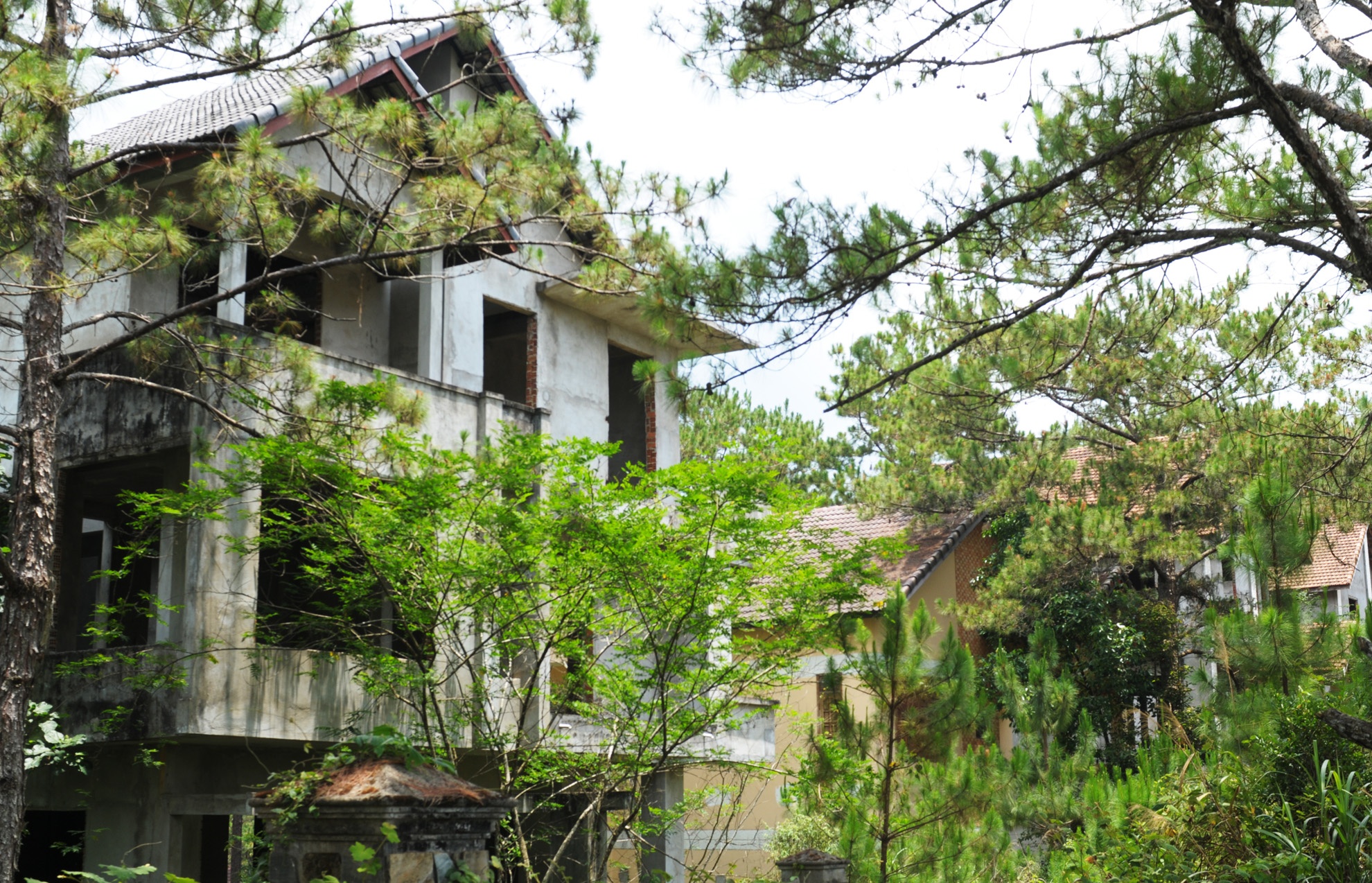 Biet thu bo hoang o Mang Den anh 7