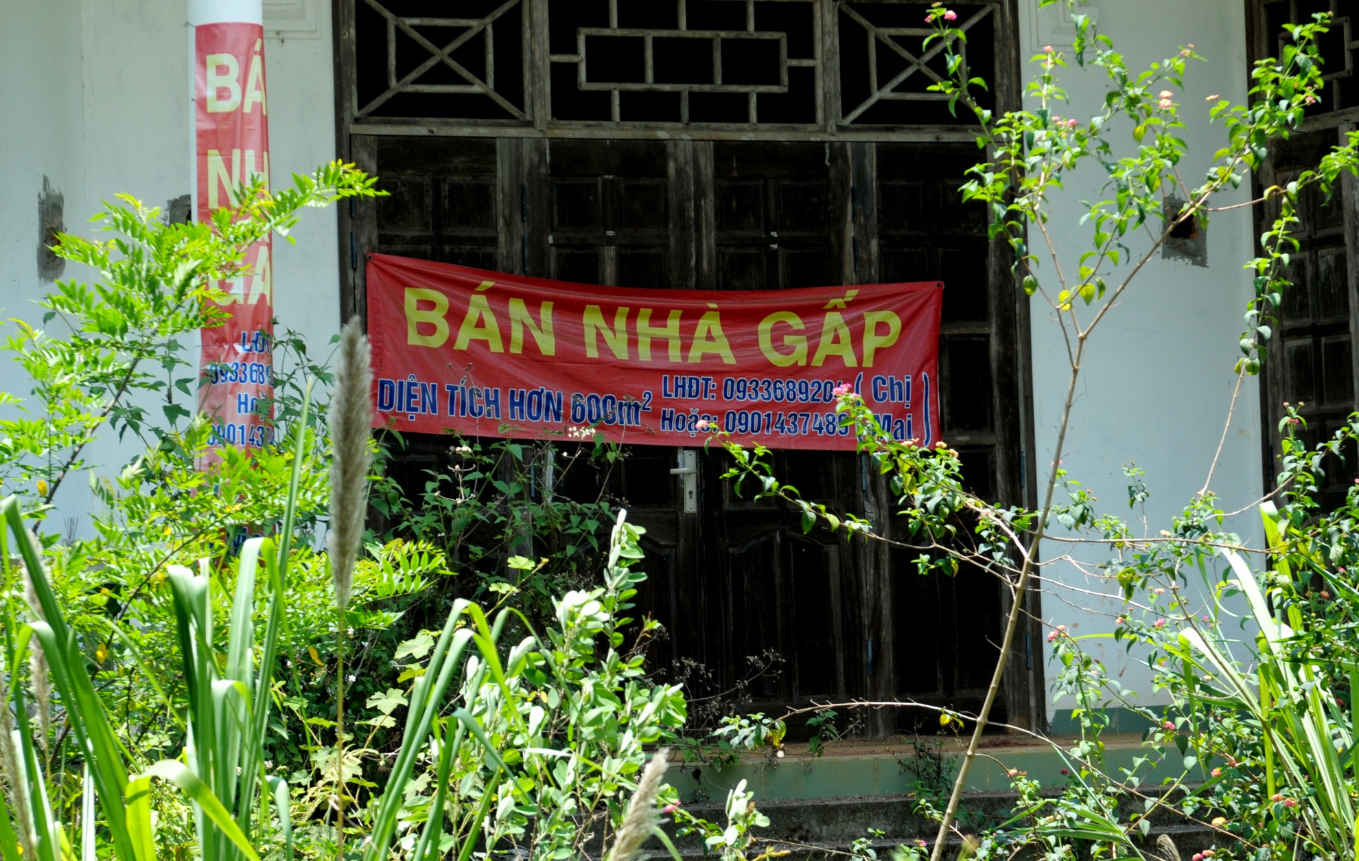 Biet thu bo hoang o Mang Den anh 8