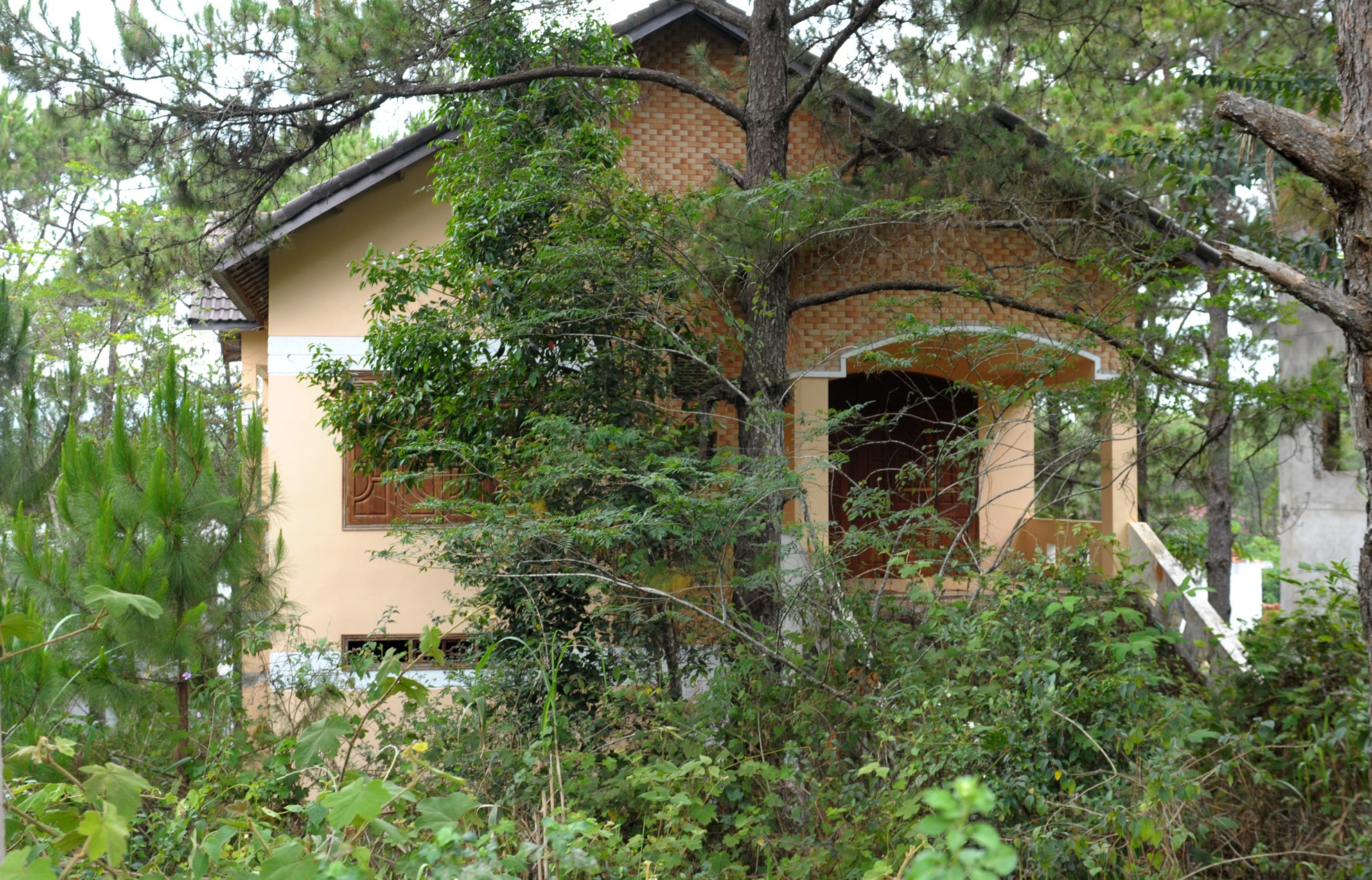 Biet thu bo hoang o Mang Den anh 9