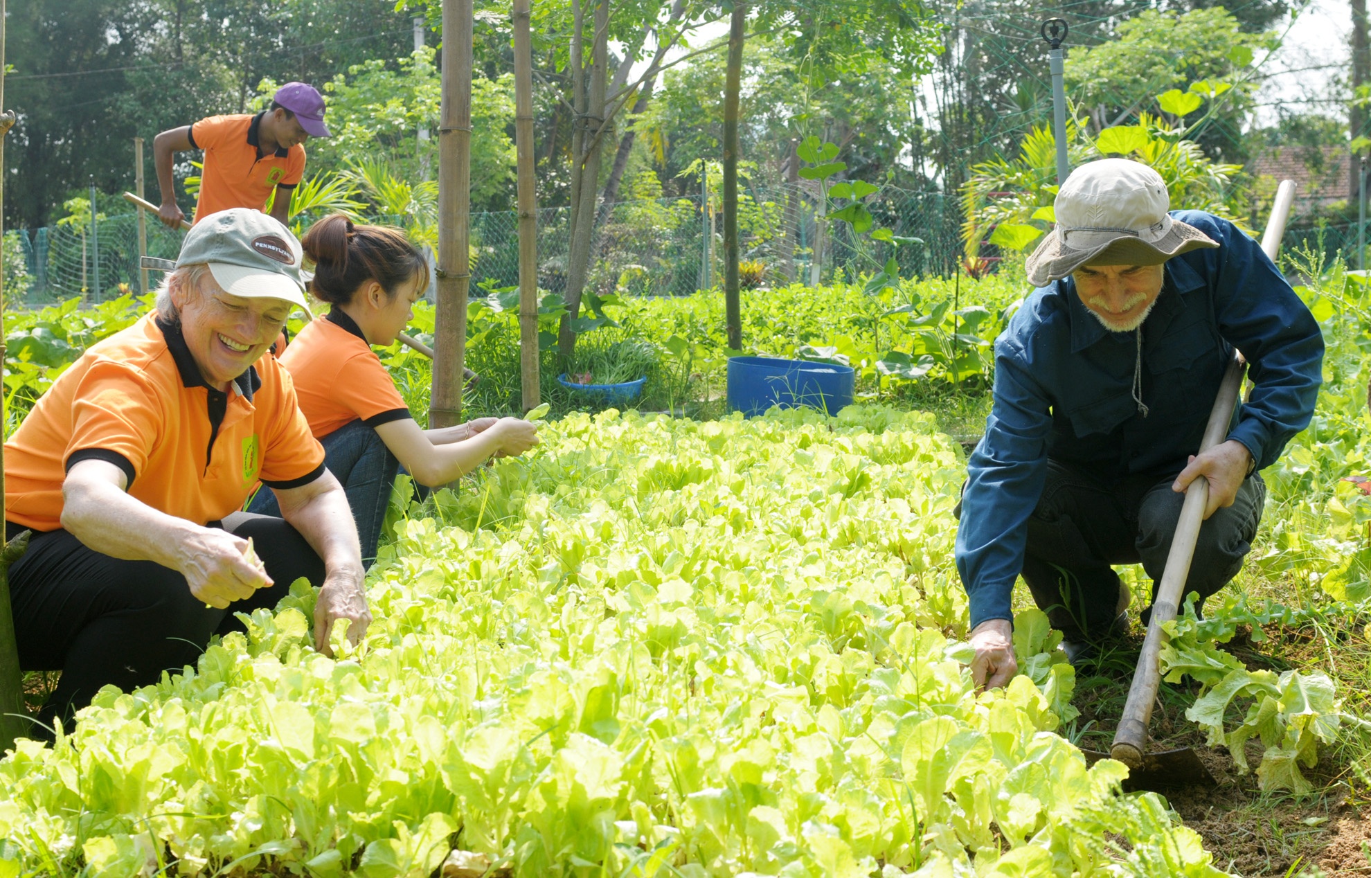 Vo chong bac si My anh 11