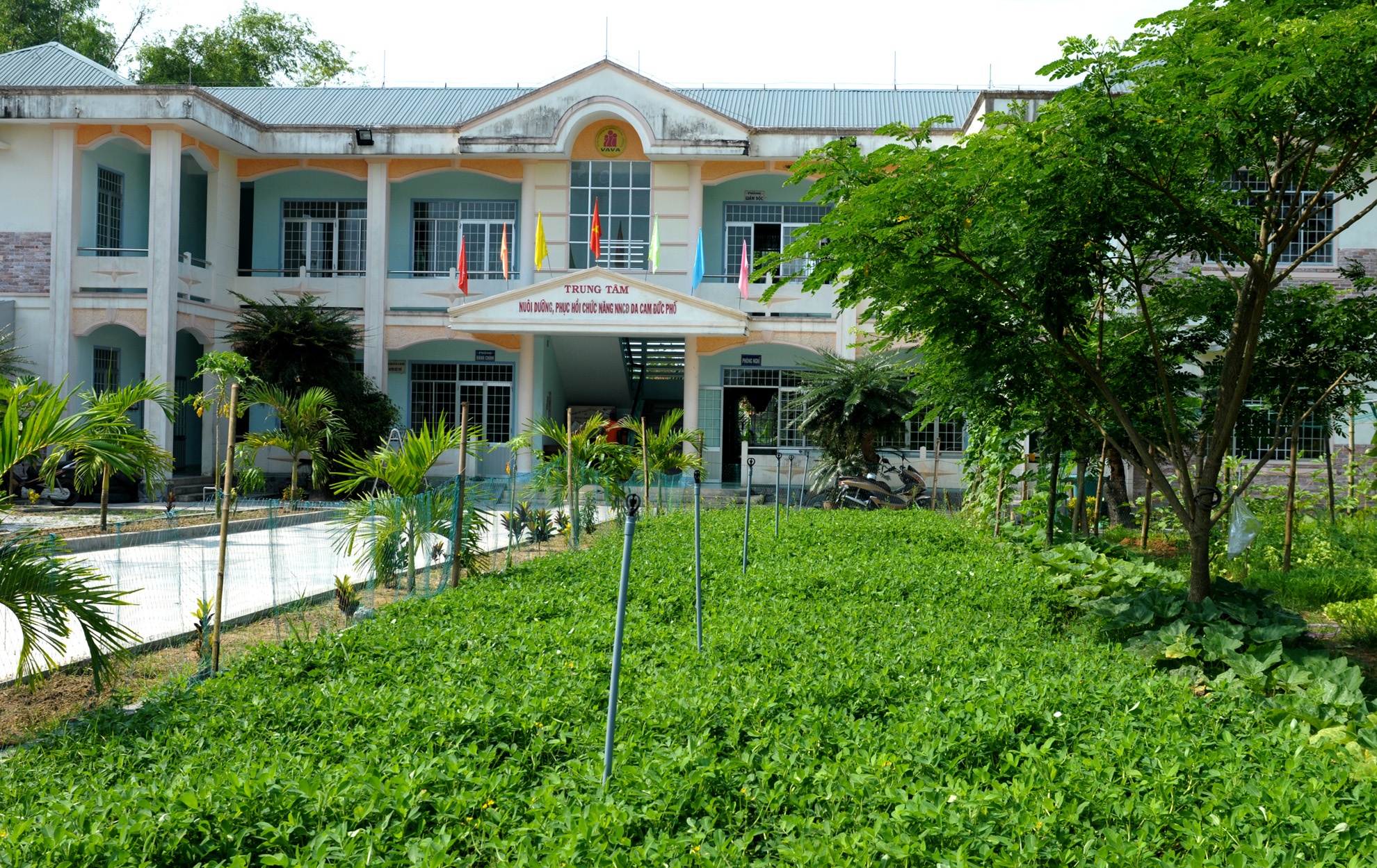 Vo chong bac si My anh 1