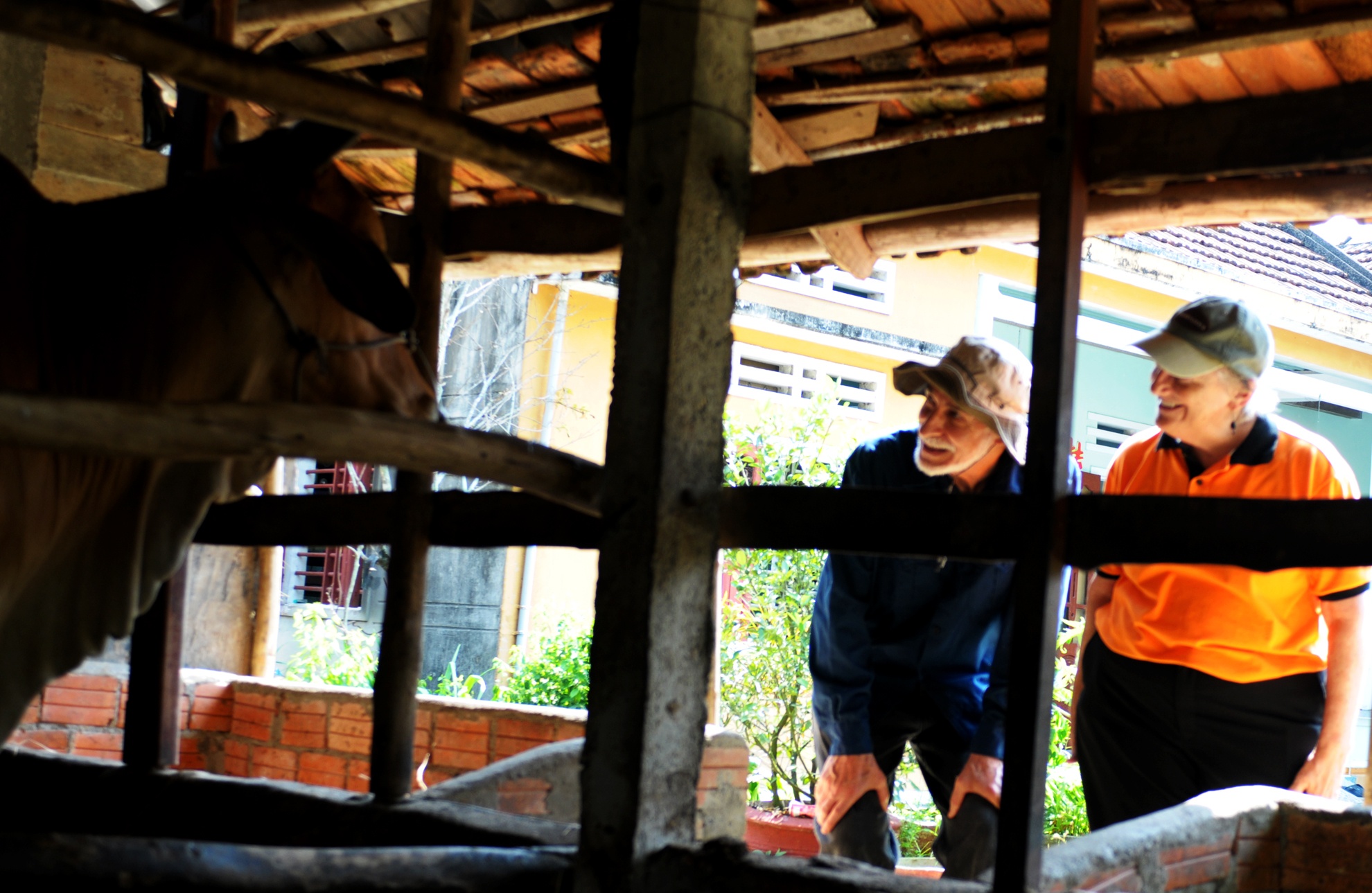 Vo chong bac si My anh 9