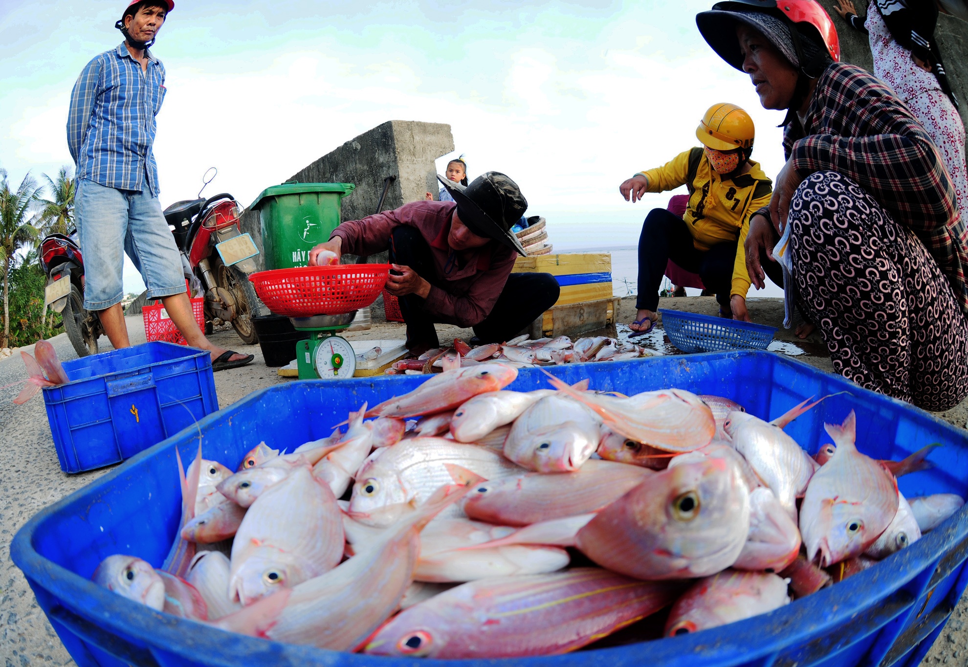 Cho dem thuy san o dao Ly Son anh 1