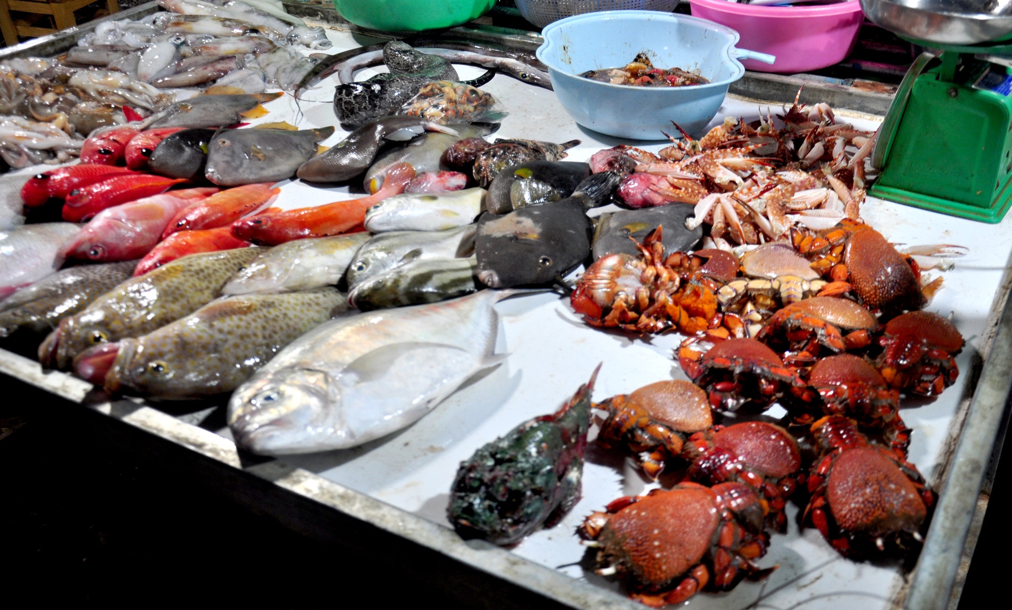 Du khach thich thu thuong thuc dac san o cho dem dao Ly Son hinh anh