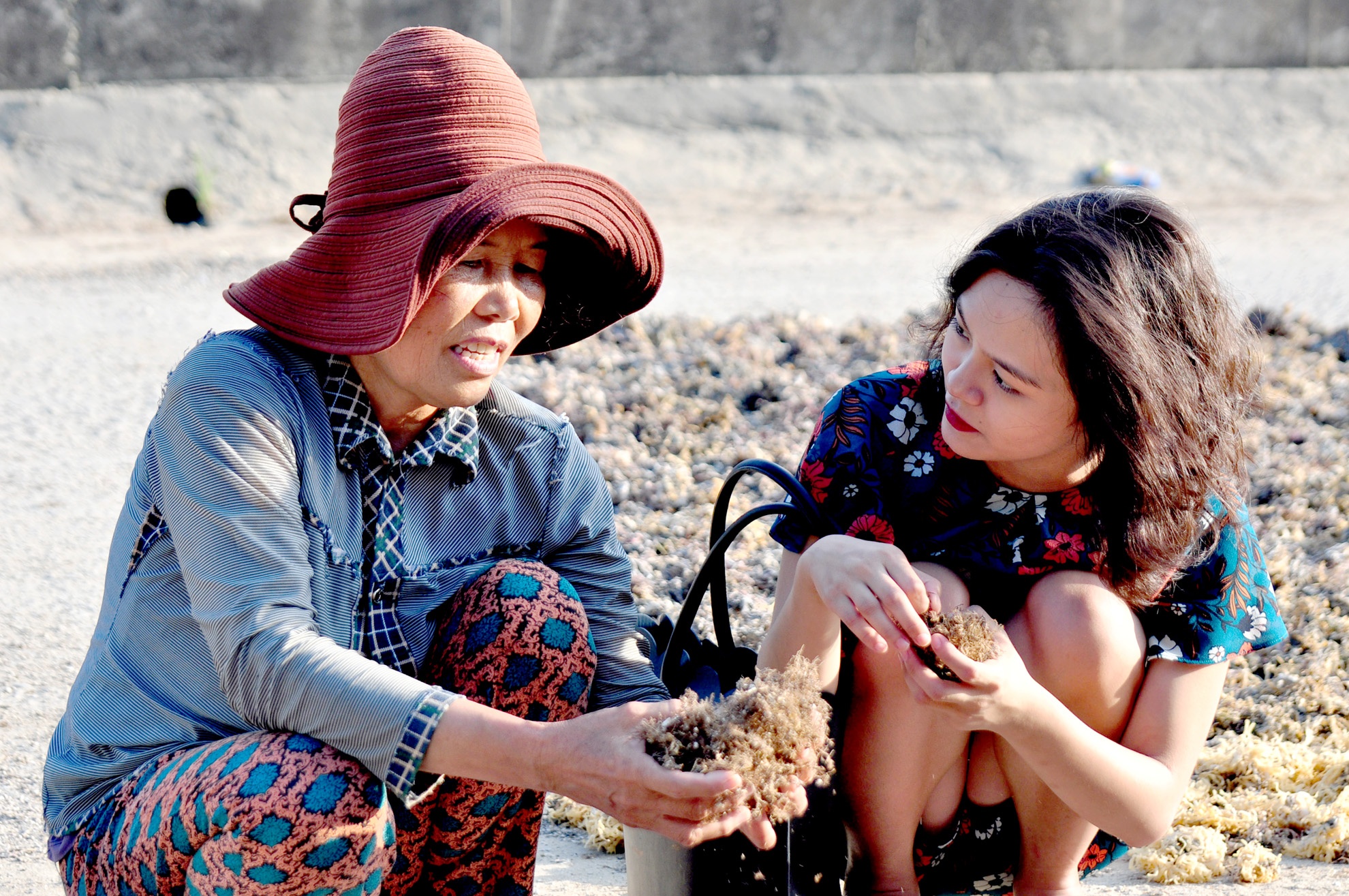 Co gai nhan 12 hoc bong dai hoc My trai nghiem cuoc song o dao Ly Son hinh anh