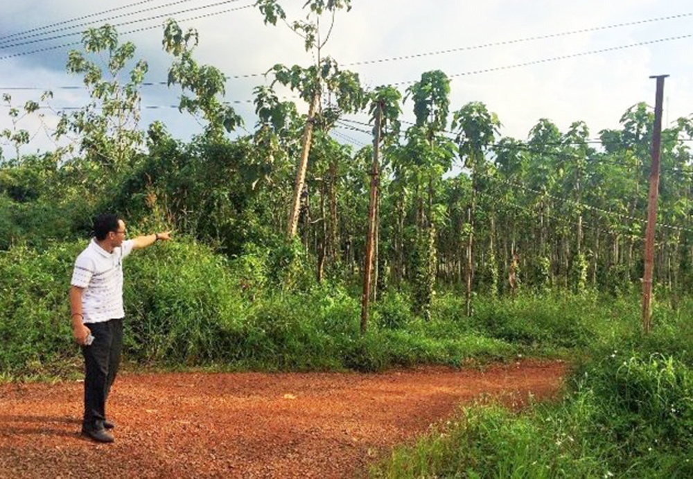 Cap dat sai cho cuu thuong vu tinh, 9 can bo bi ky luat hinh anh