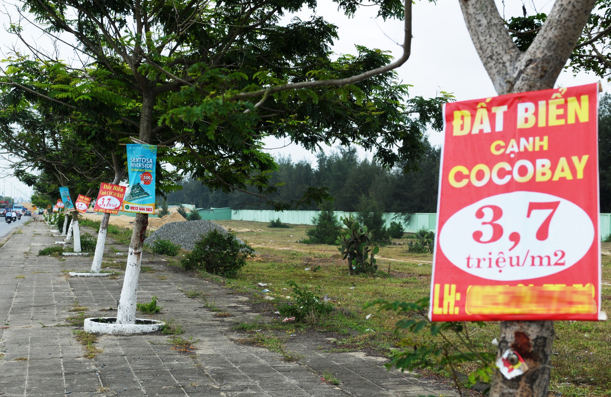 Bat dong san 'sot' theo du an Cocobay anh 2