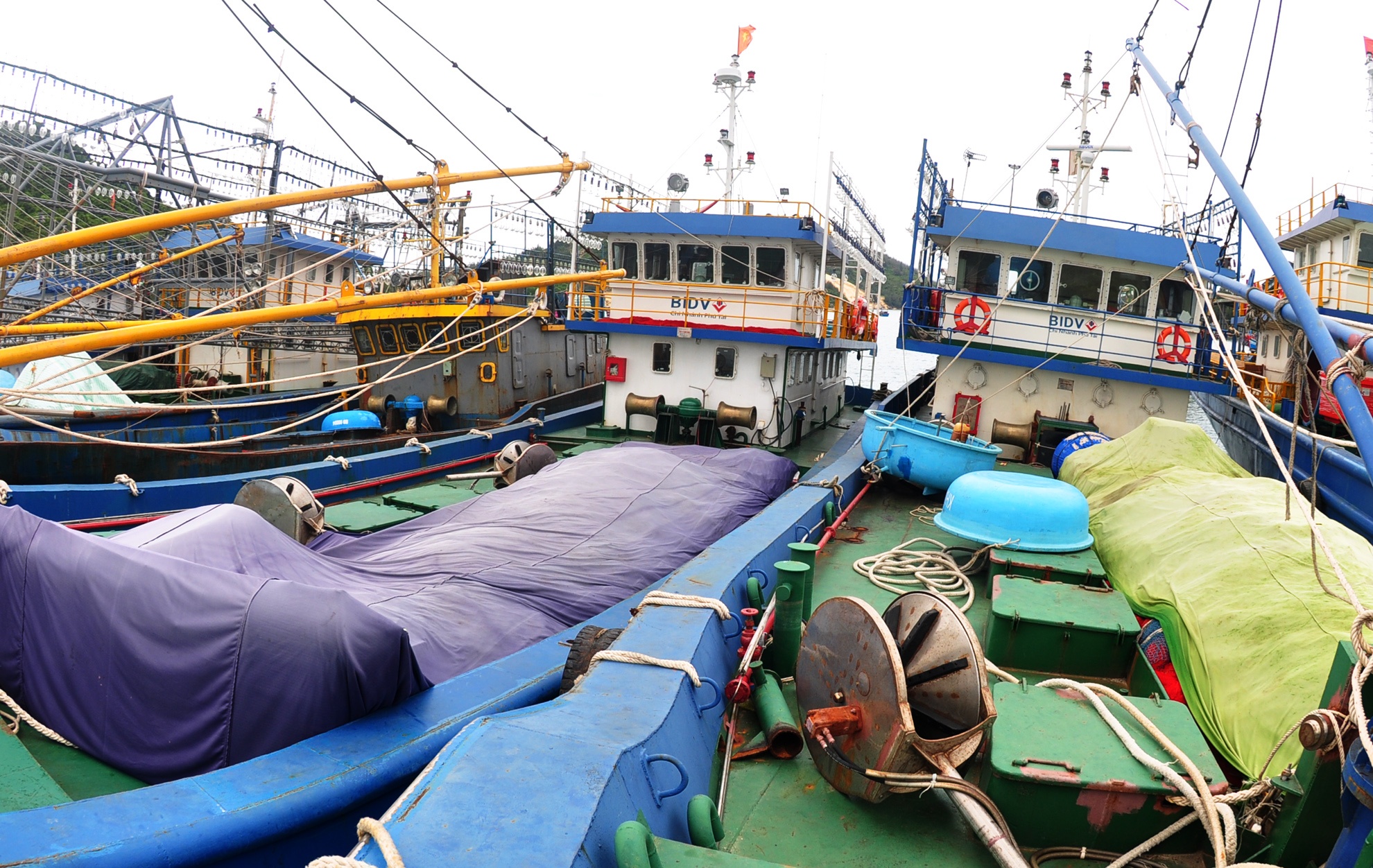 Tau vo thep hang chuc ty dong nam bo anh 3