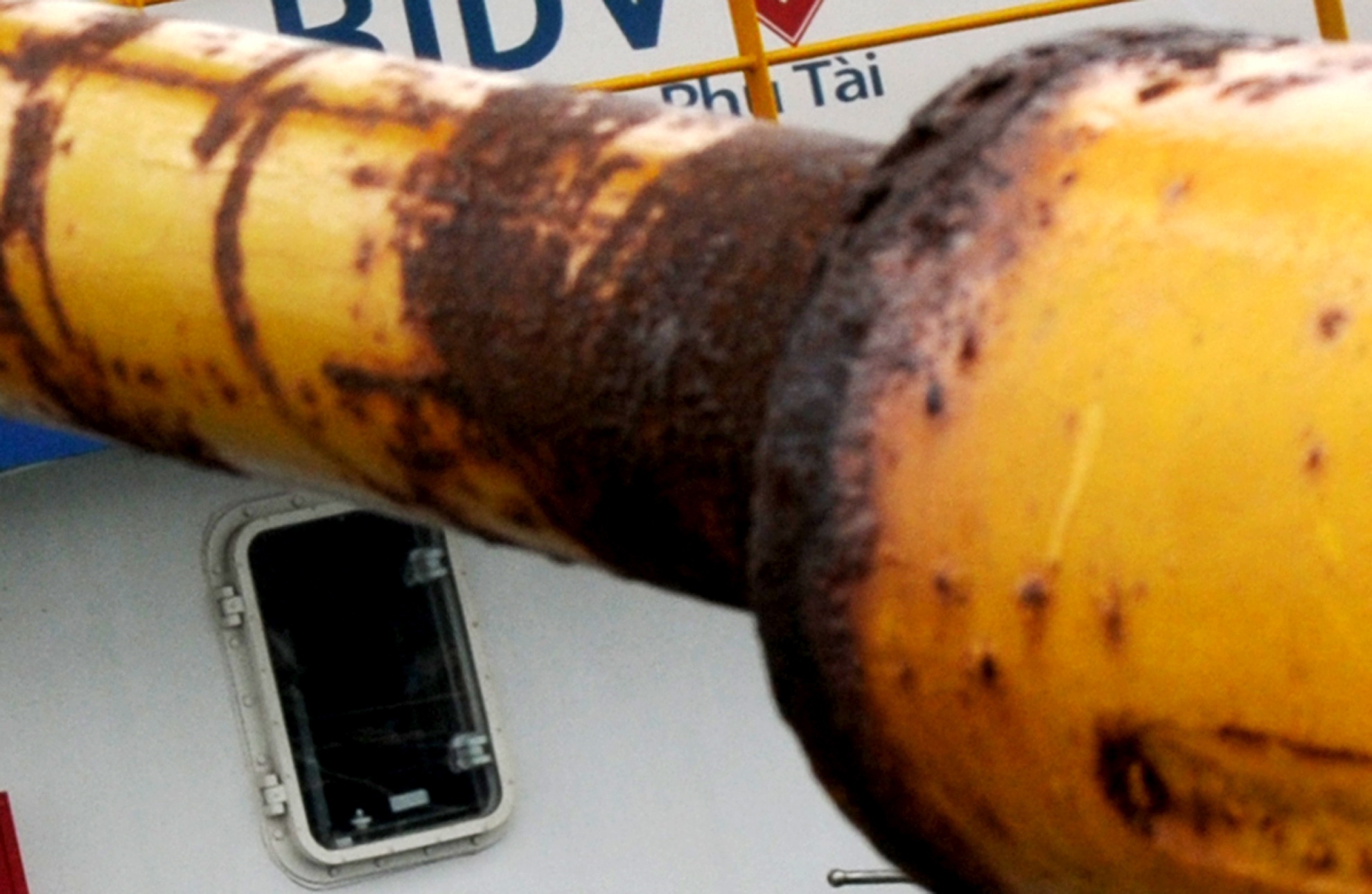 Tau vo thep hang chuc ty dong nam bo anh 8