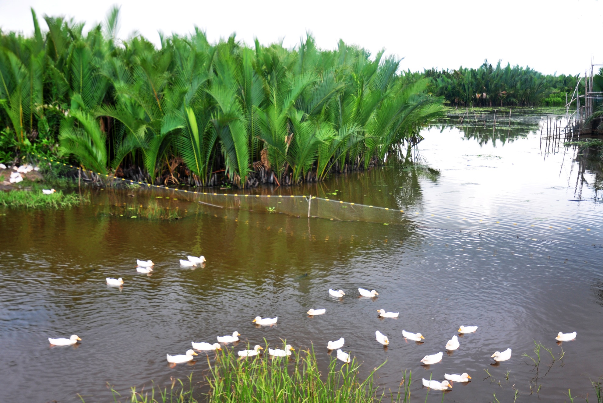 Phat trien kinh te di doi voi moi truong anh 2