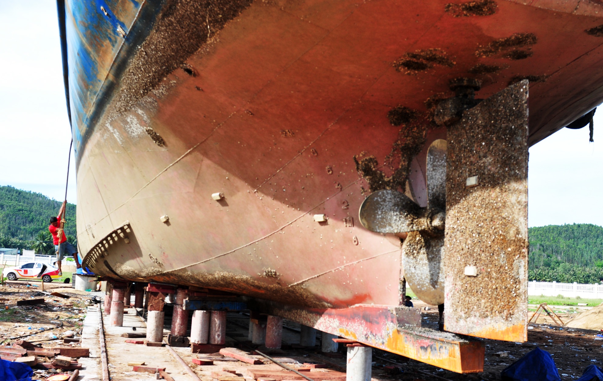 Ngu dan tran tinh ly do rut don kien vu tau thep chuc ty nam bo hinh anh