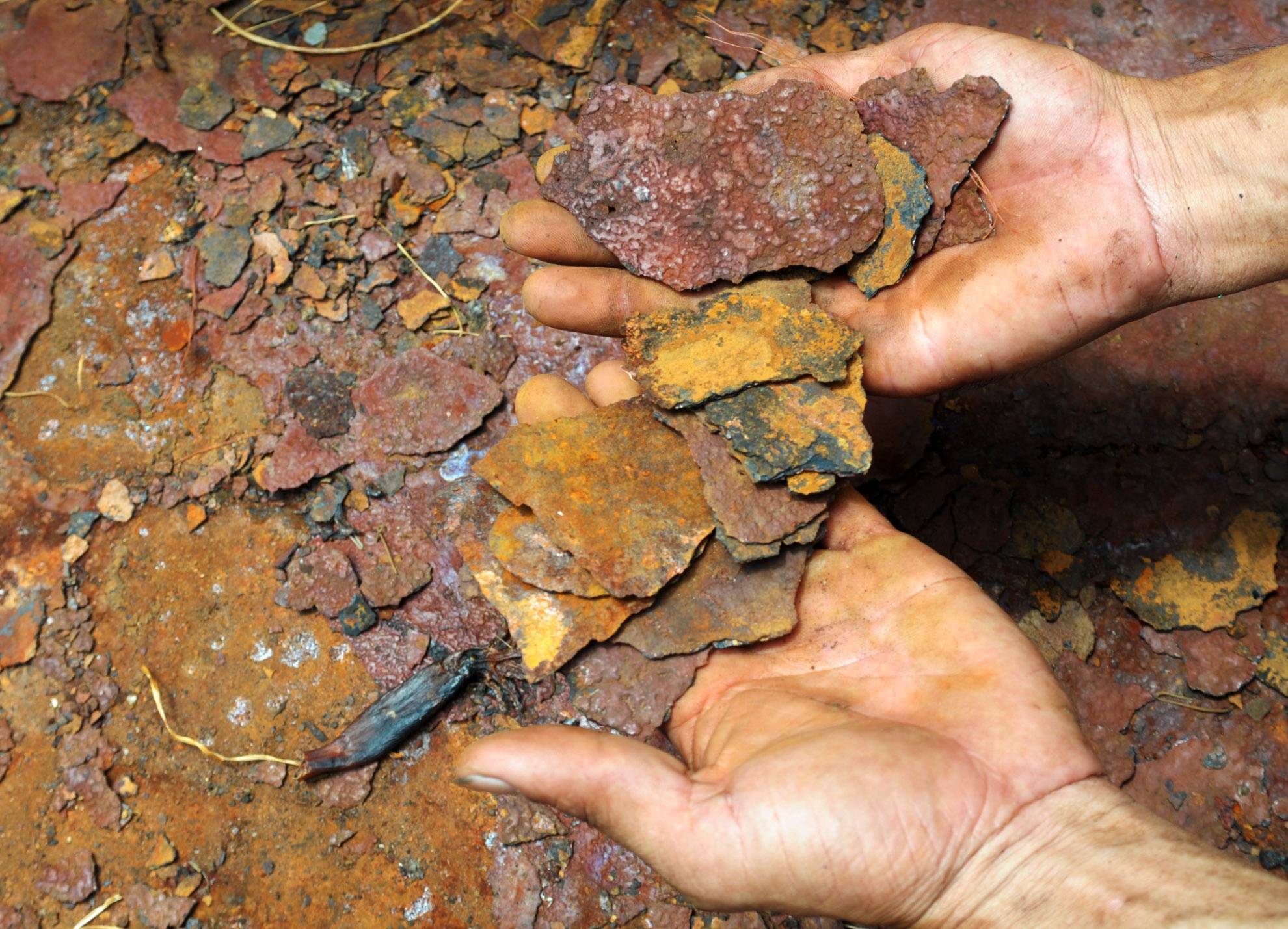 Doanh nghiep 'ho tro' 2 ty, ngu dan rut don kien tau hong hinh anh