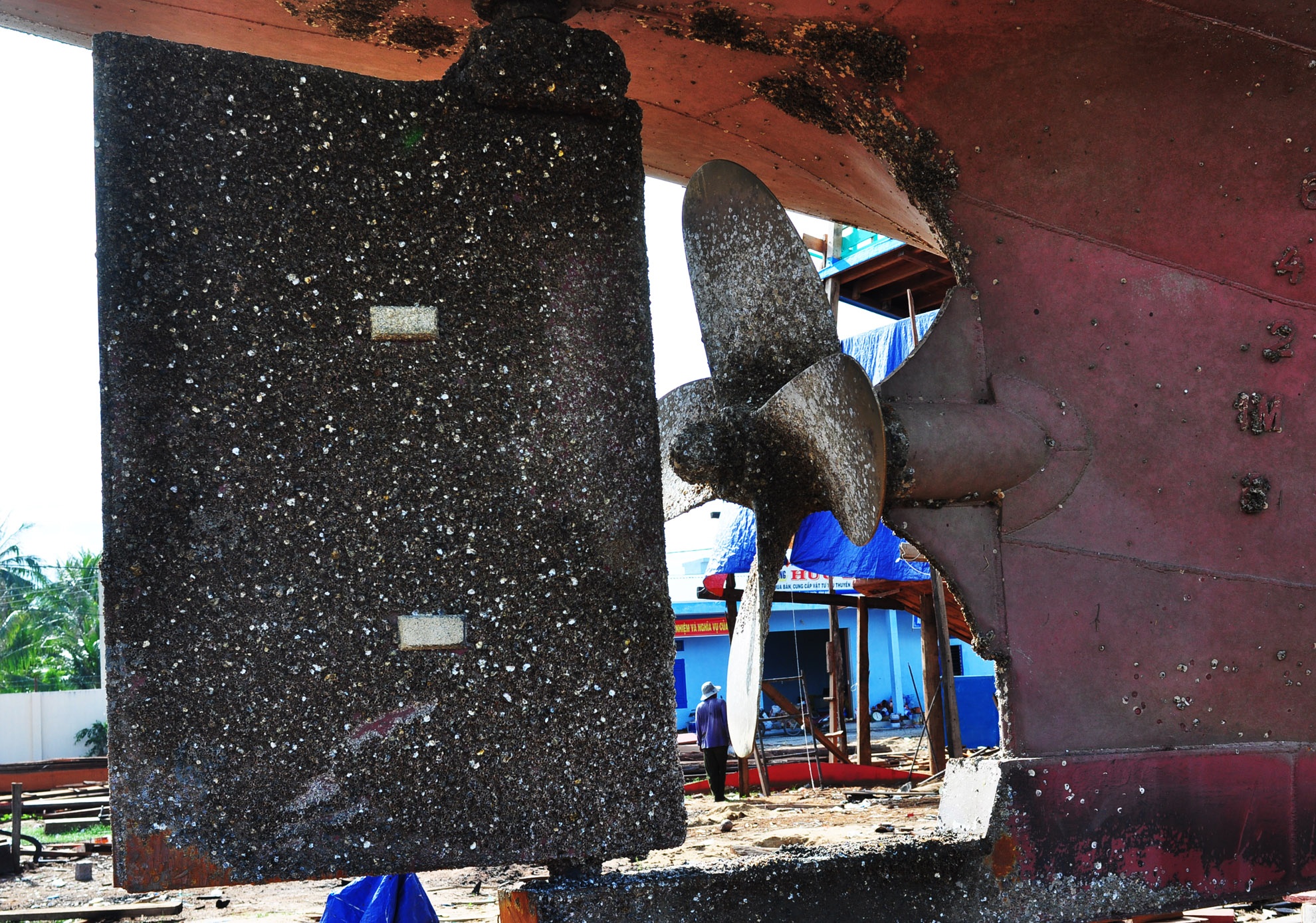 Tau thep Binh Dinh nam bo anh 3