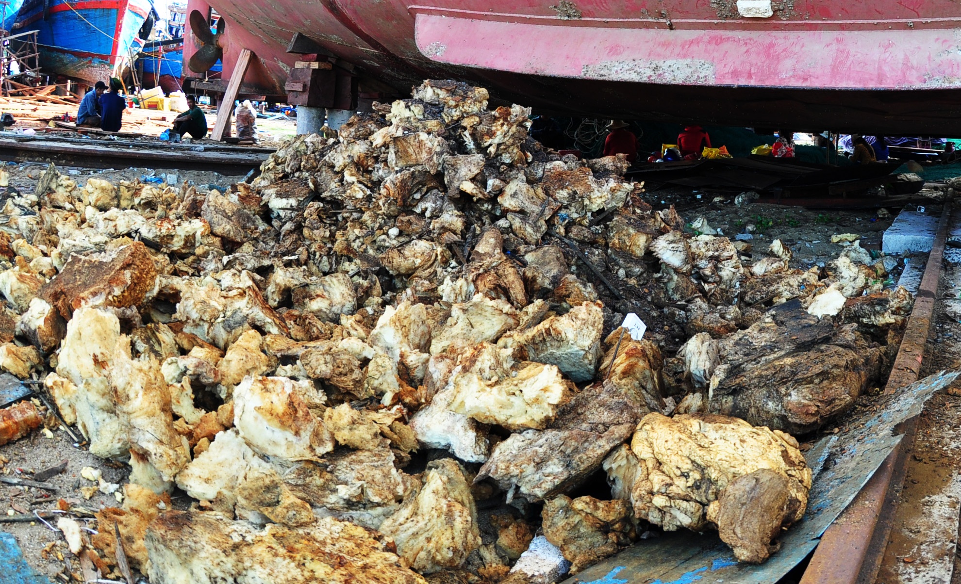 Tau thep Binh Dinh nam bo anh 12