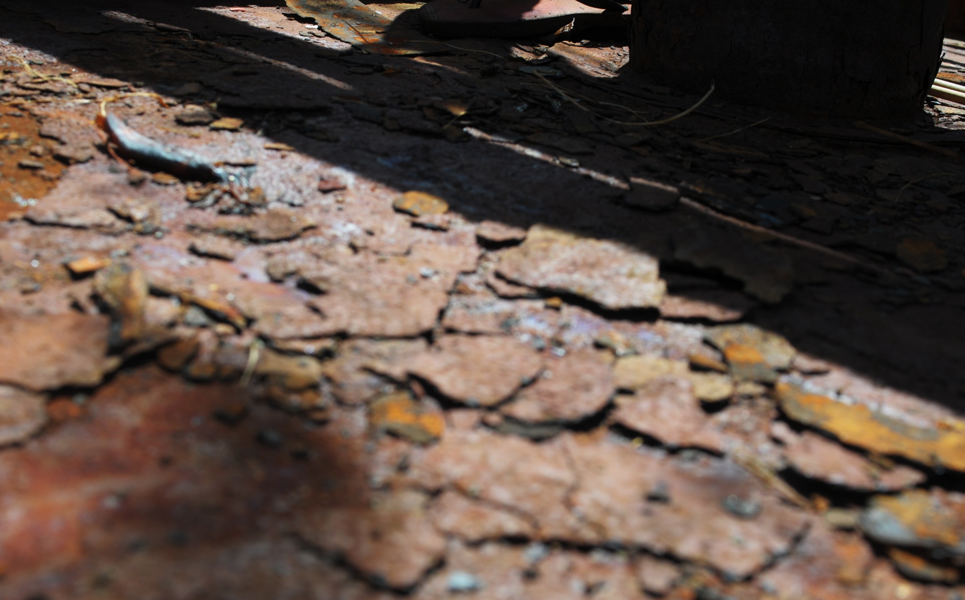 Tau thep Binh Dinh chuc ty nam bo anh 3