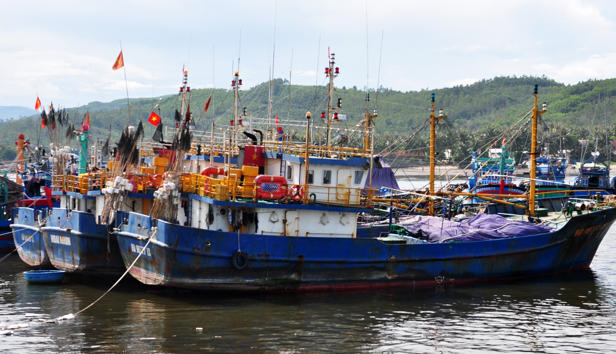 Binh Dinh ho tro ngu dan khoi kien doanh nghiep dong tau thep 'gian doi' hinh anh