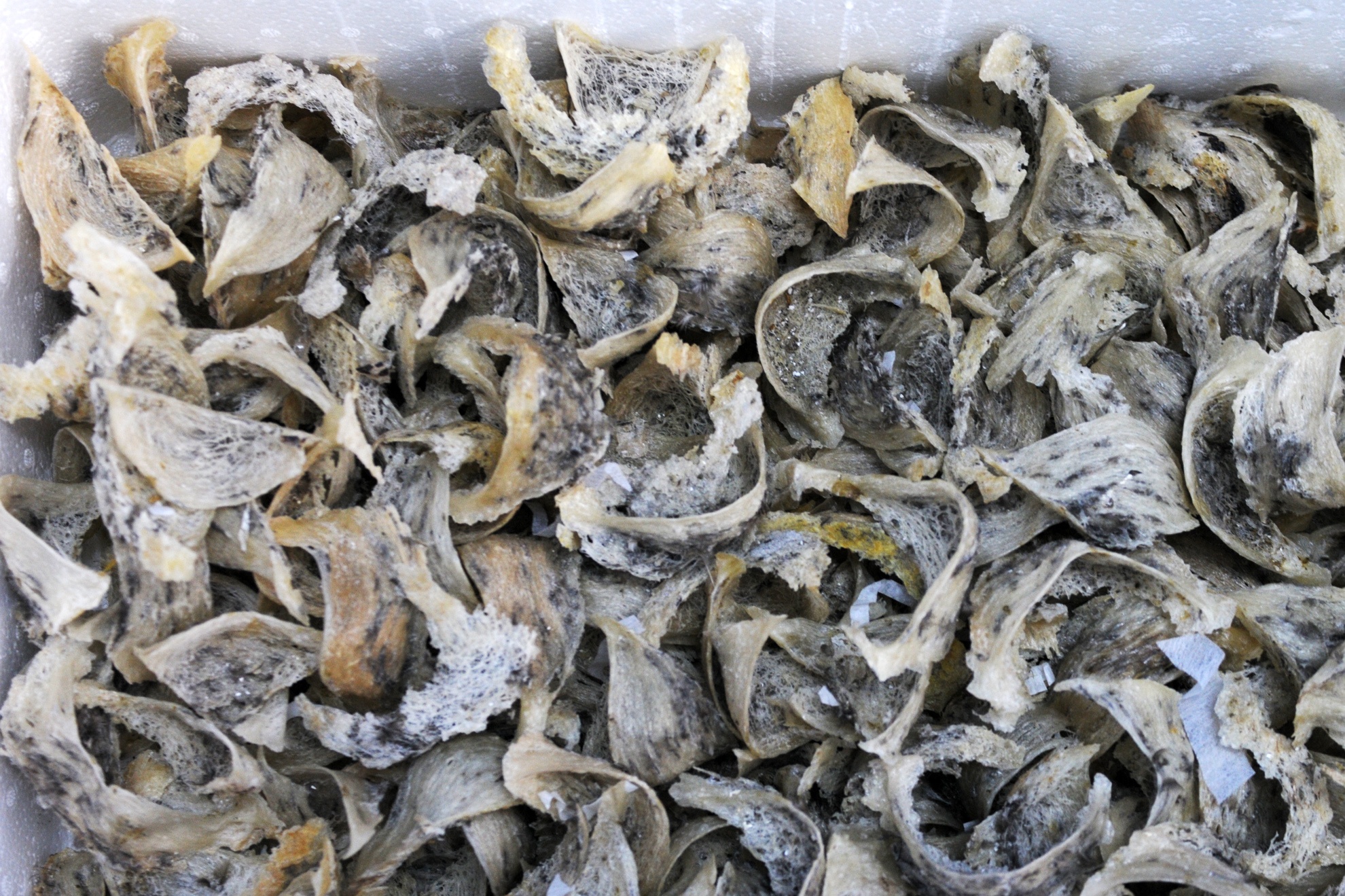 O at xay nha yen anh 9