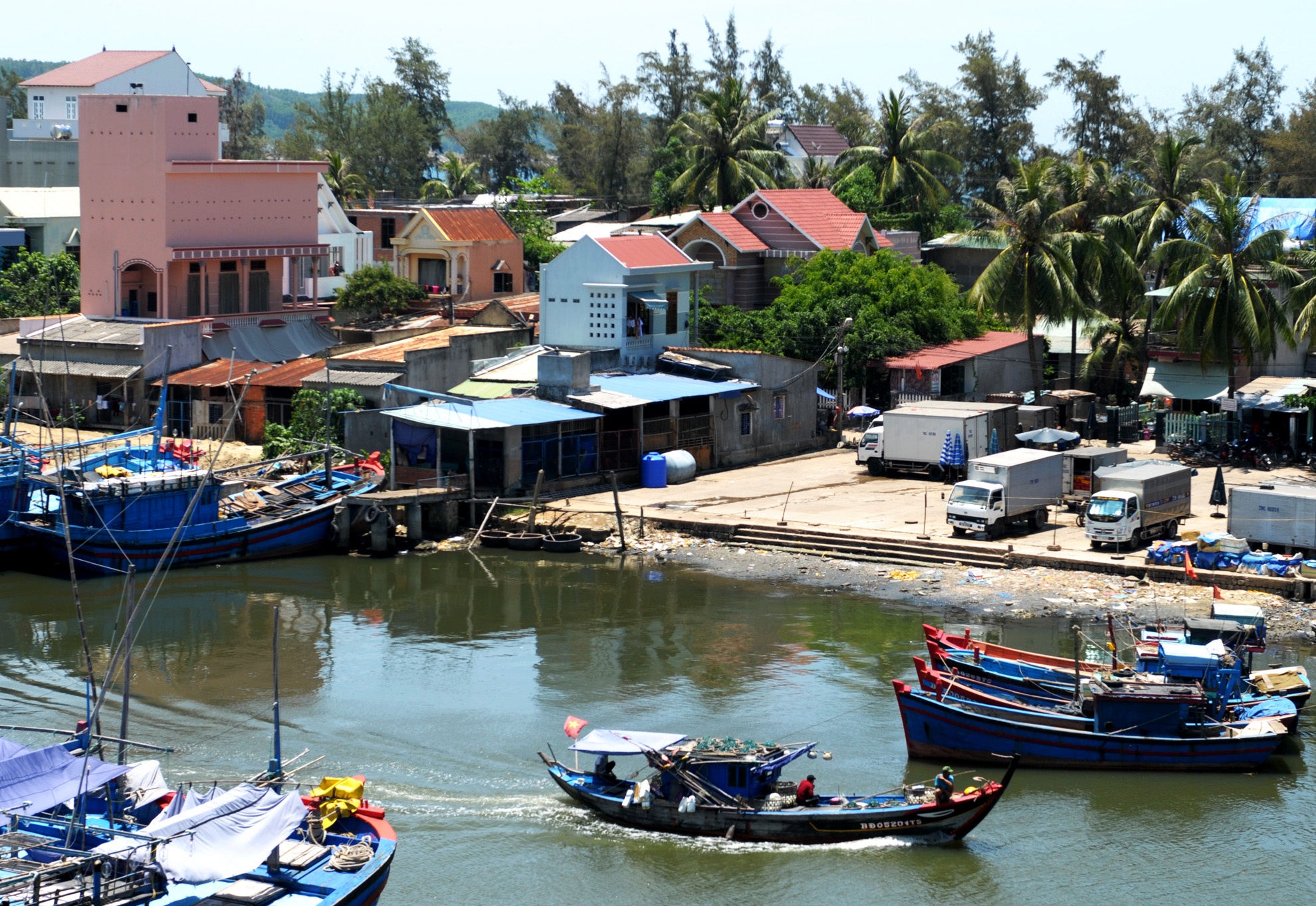 Dan Binh Dinh chi tien ty xay 'to am' cho chim yen hinh anh