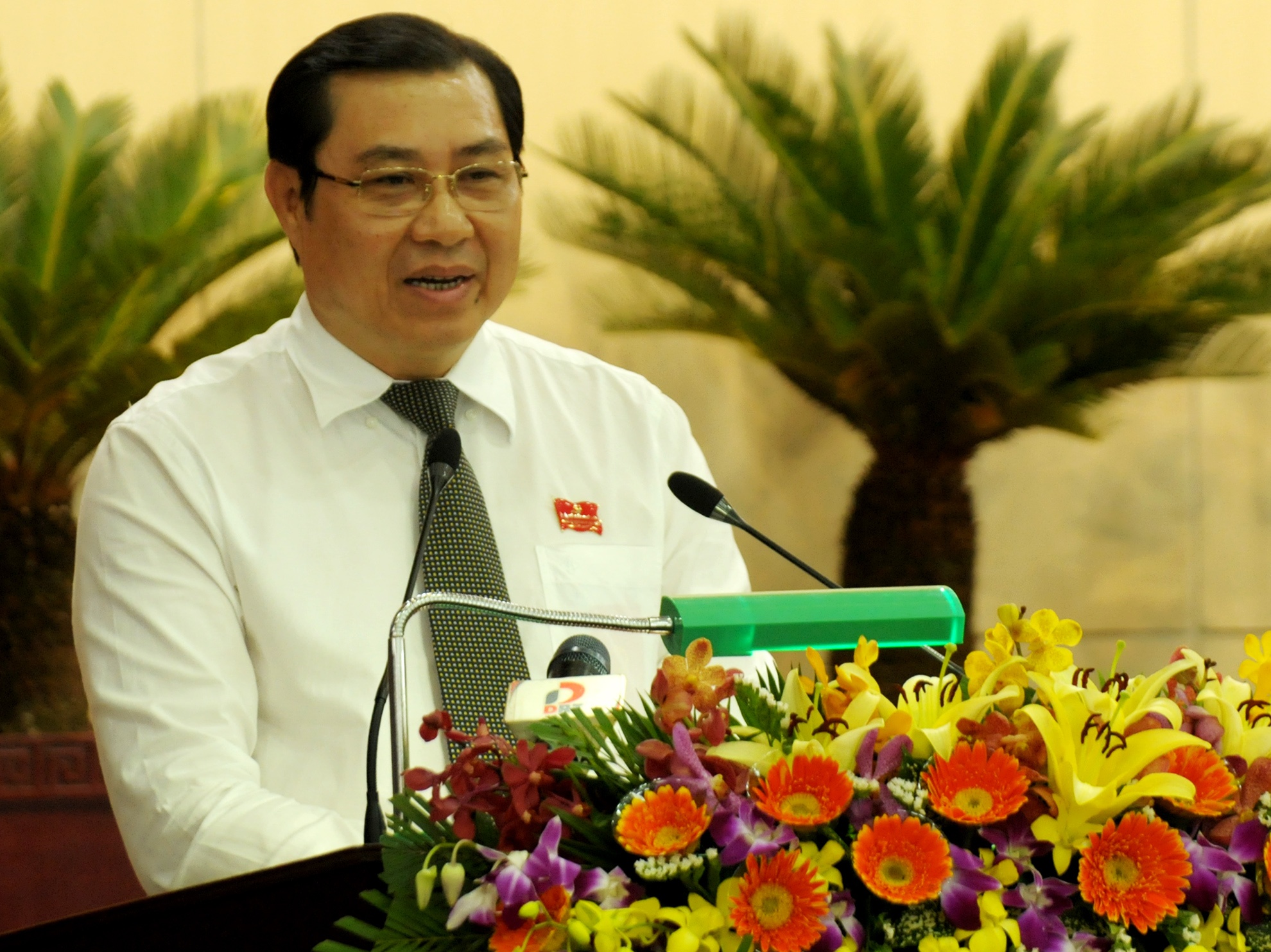 Ban dao Son Tra anh 1