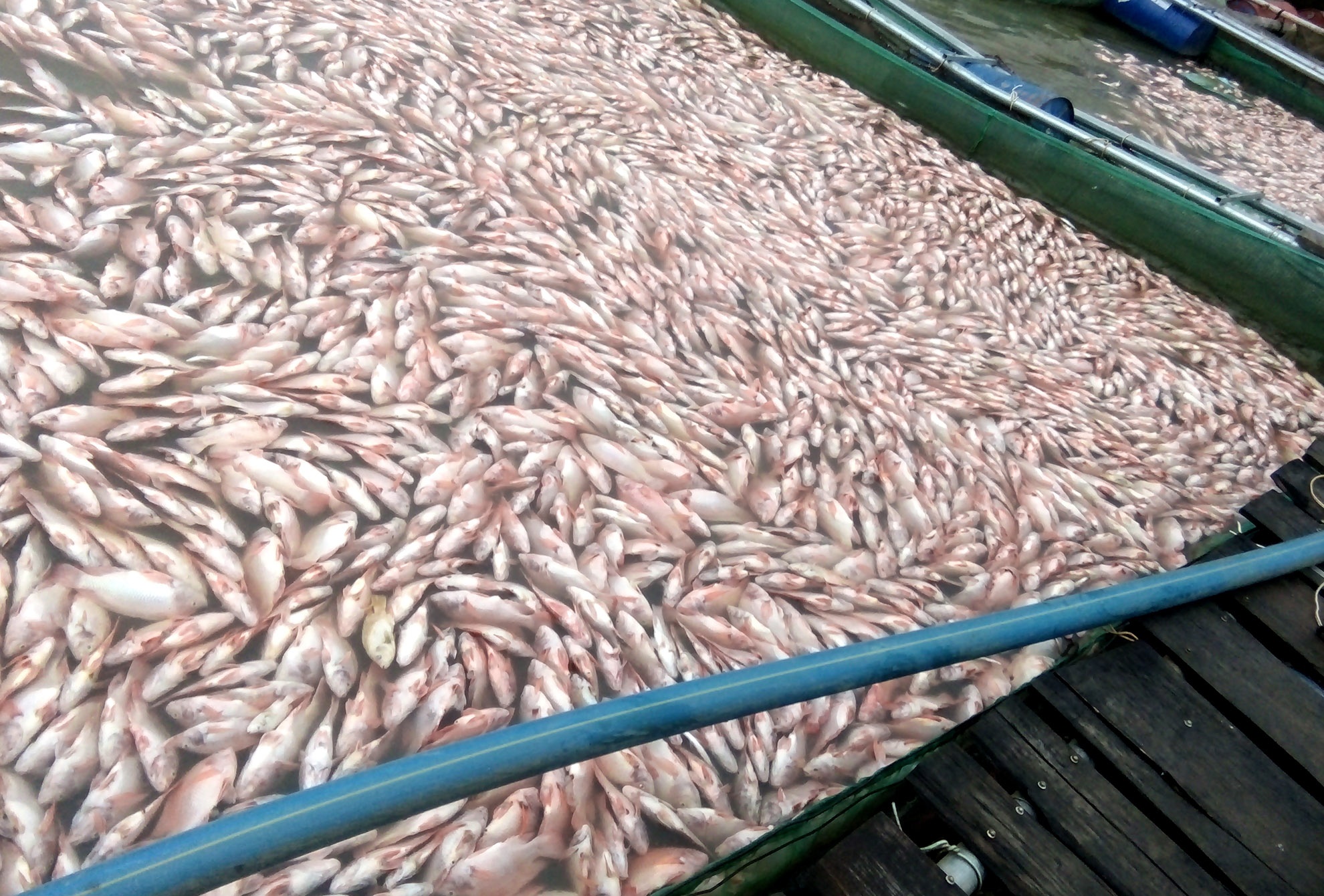 Hang chuc tan ca noi trang ho o Kon Tum hinh anh