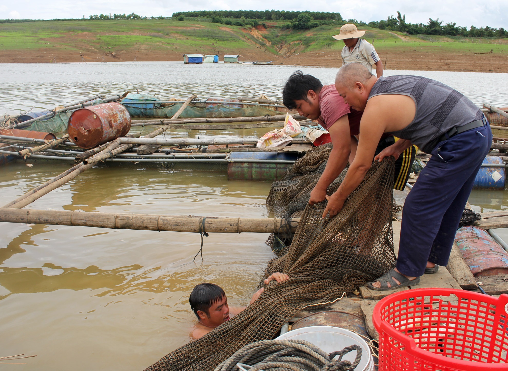 Cá chết trắng hồ ở Kon Tum ảnh 2 Ca chet trang ho o Kon Tum anh 2